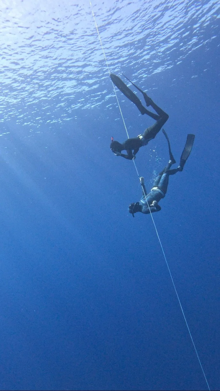 2 DAY PADI FREEDIVER