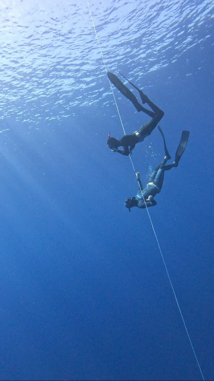 FREEDIVER TILE.webp