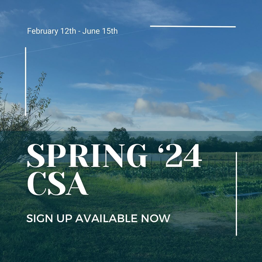 🚨BIG NEWS🚨 Our Spring CSA signup is now officially up and running on the website!🌻 Two pickups, 18-weeks, 6-8 items per box. You can find all the information on the CSA page of the website, and secure your share there. Since we&rsquo;re just start