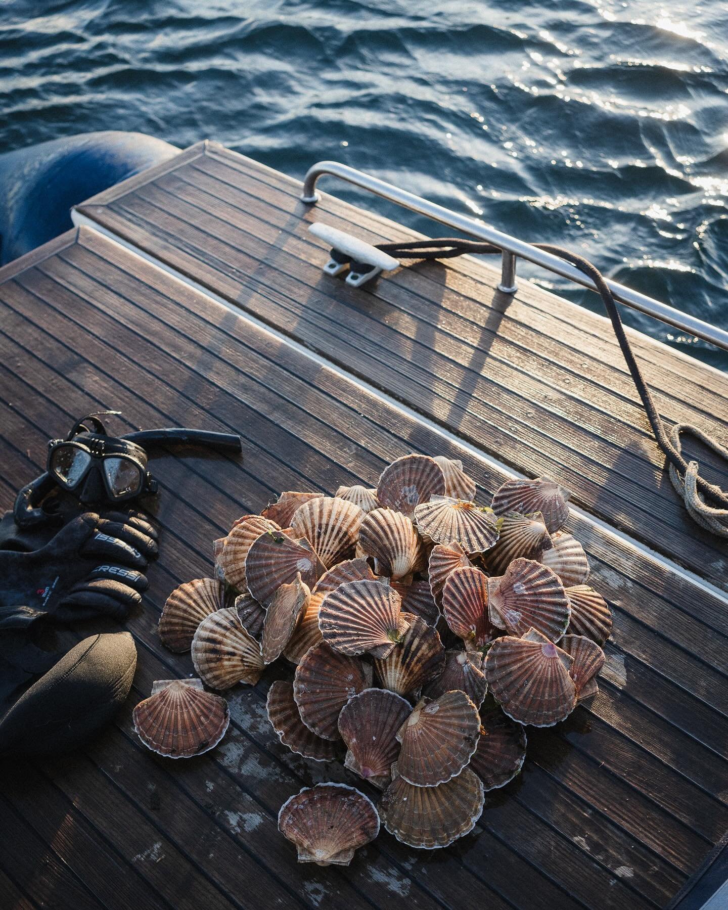 Adventure on the wild western isles.

Some stills from our recent adventure to a remote Scottish island - an @theoutsidestudio project that was one of the best weeks of our recent professional lives.

Free diving for scallops, campfire cooking, absei