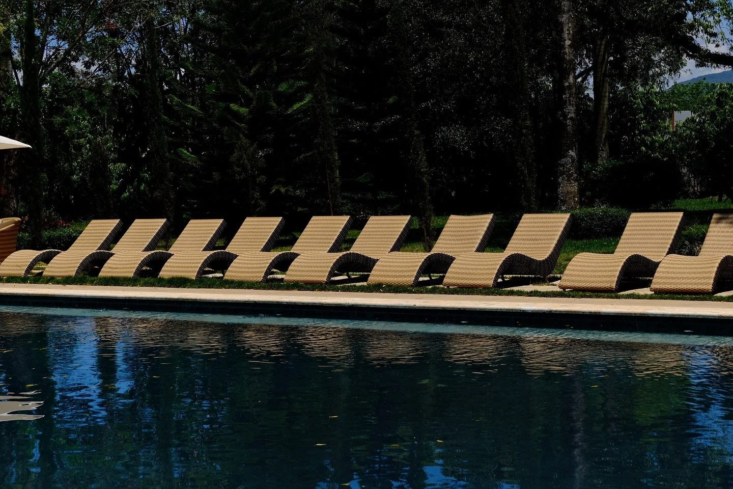 agosto en el cibao 

🌞🌧️🍑🌺💛