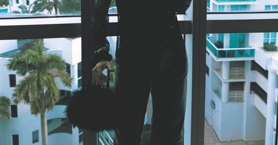 december, festivity activity 🦢🤍