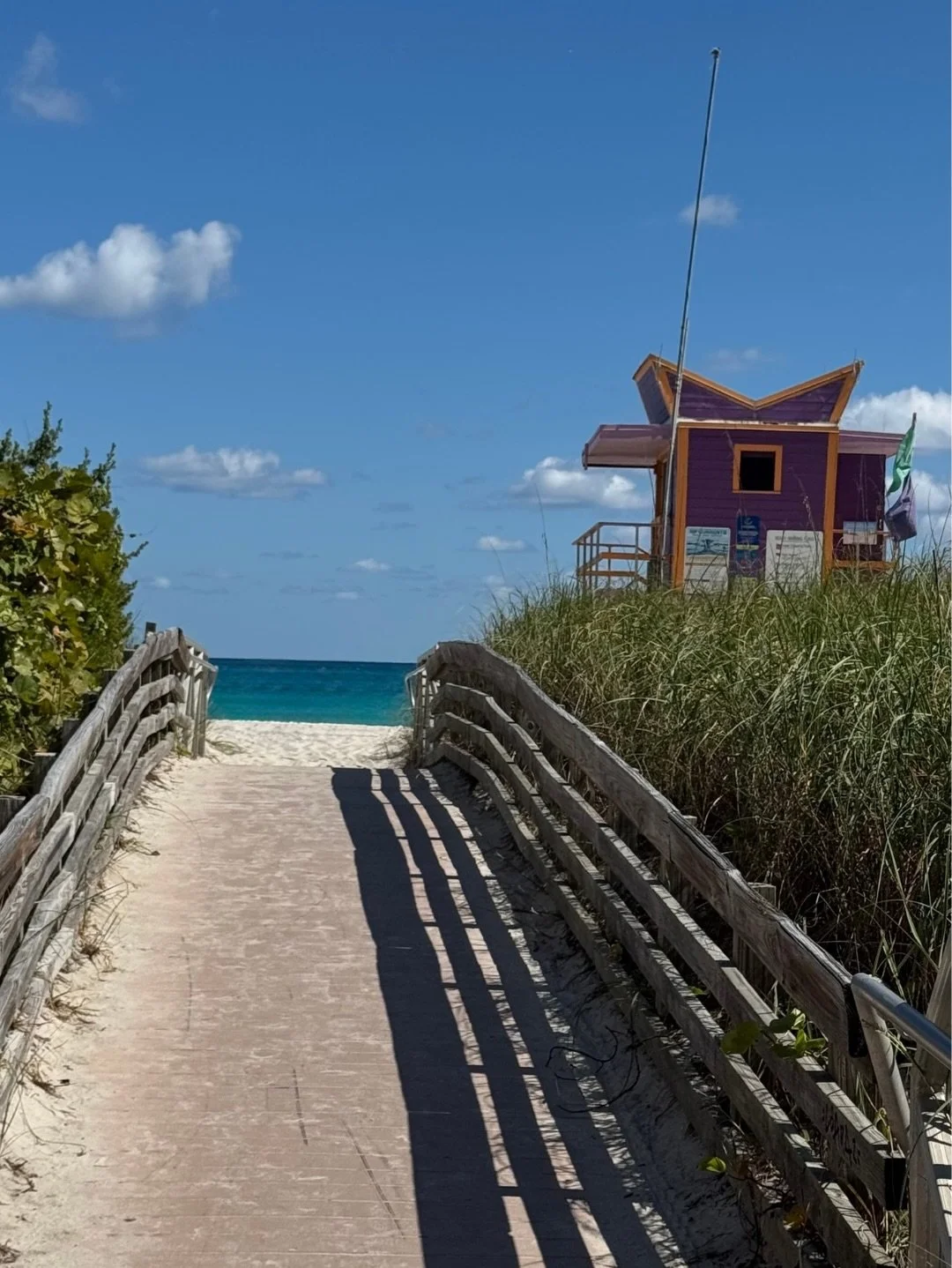 reconnecting &amp; exploring con mucho amor ❣️