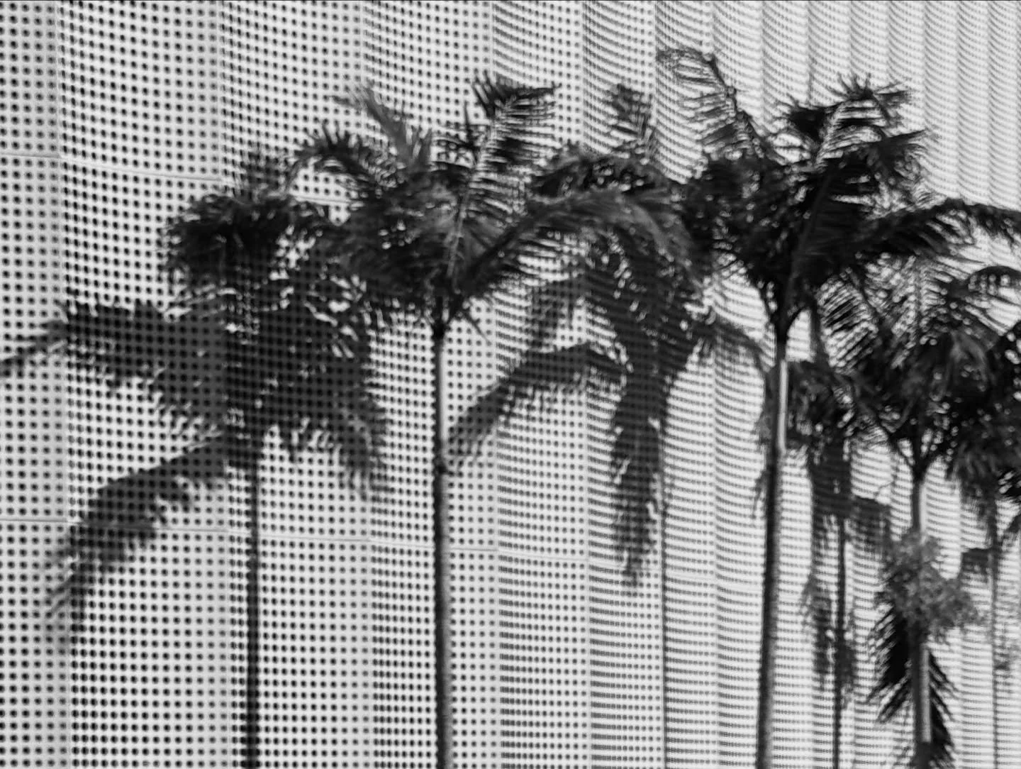 🌞🦥🐦&zwj;🔥⛈️🌶️🪘🎨🍬✨