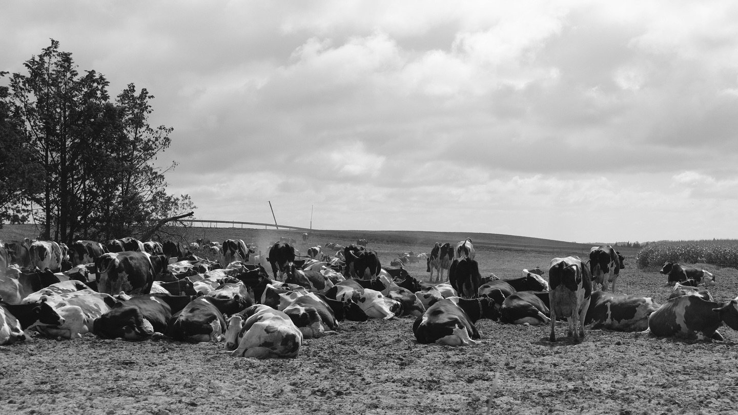 passenger princess 📸