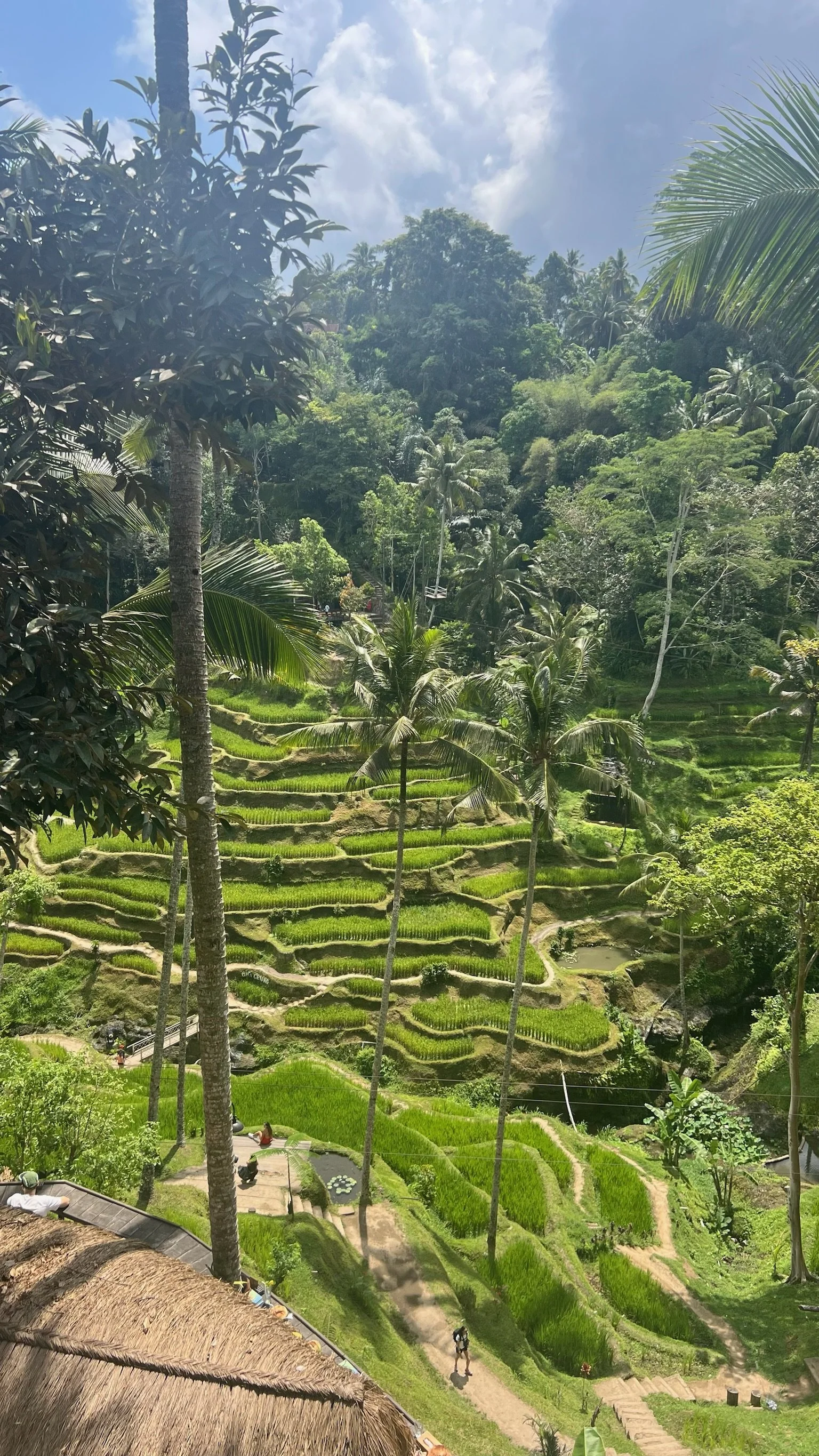 bali.JPG