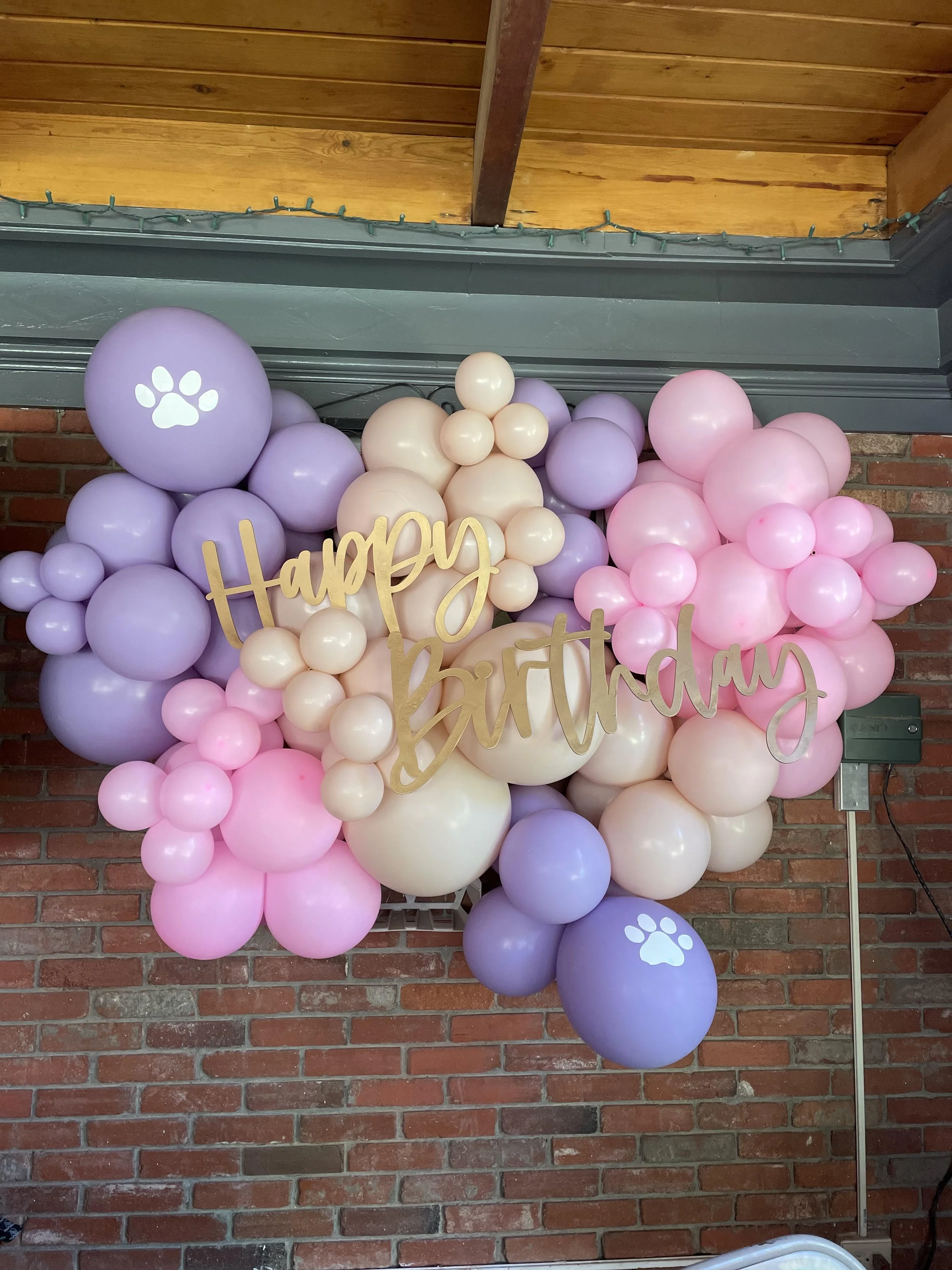 Colorful balloon arrangement with "Happy Birthday" sign and paw prints on purple balloons, against a brick wall background.