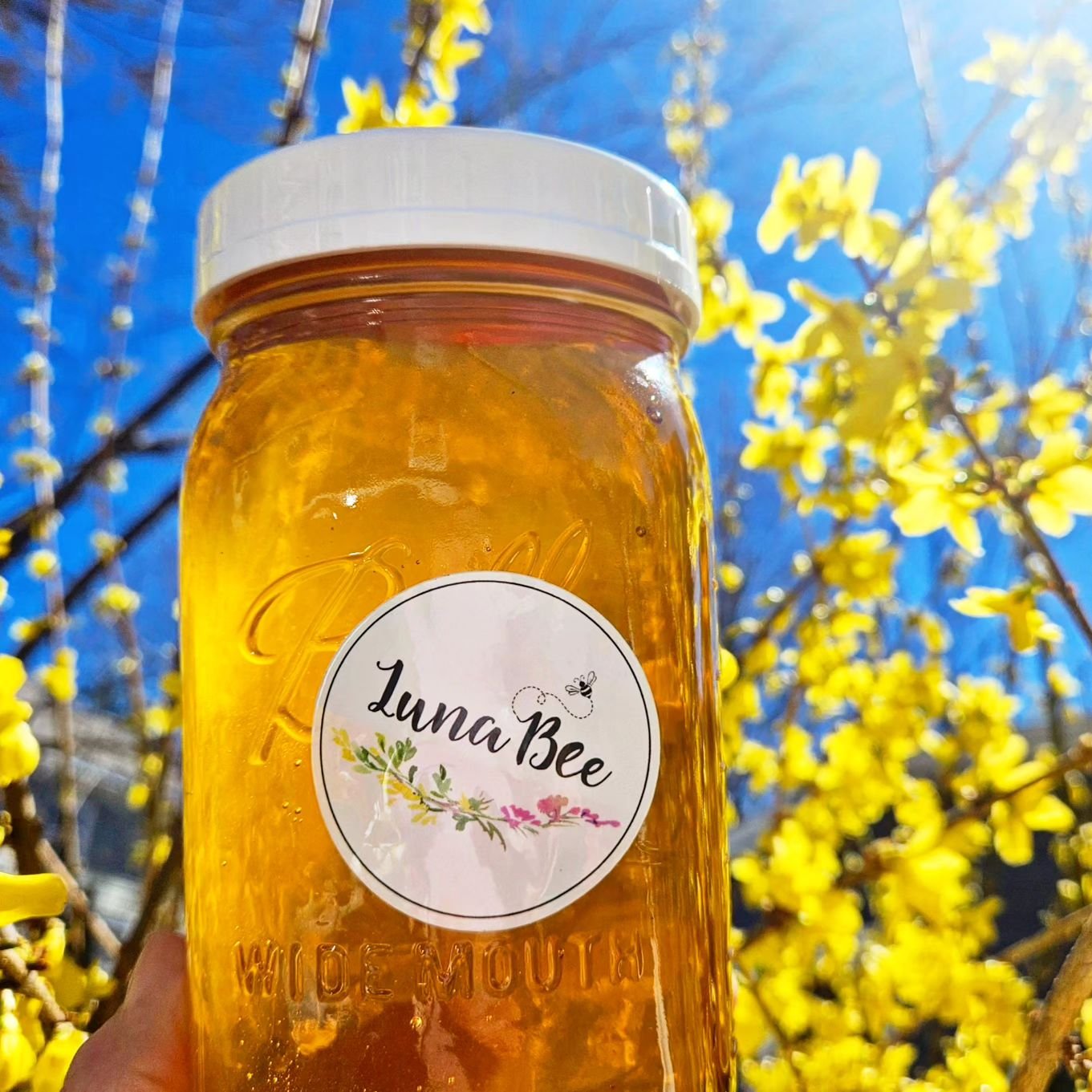 Is that really you SPRING?!
Picked up some amazing @lunabeeco HONEY!!
It might just be THYME for a collab.....
MARKET SEASON is upon us &amp; in just a short couple weeks we'll be out there in the sun sipping on some LEMONADE 🐝🍯🌿🍋☀️🌷❤️🎉
Stay tu