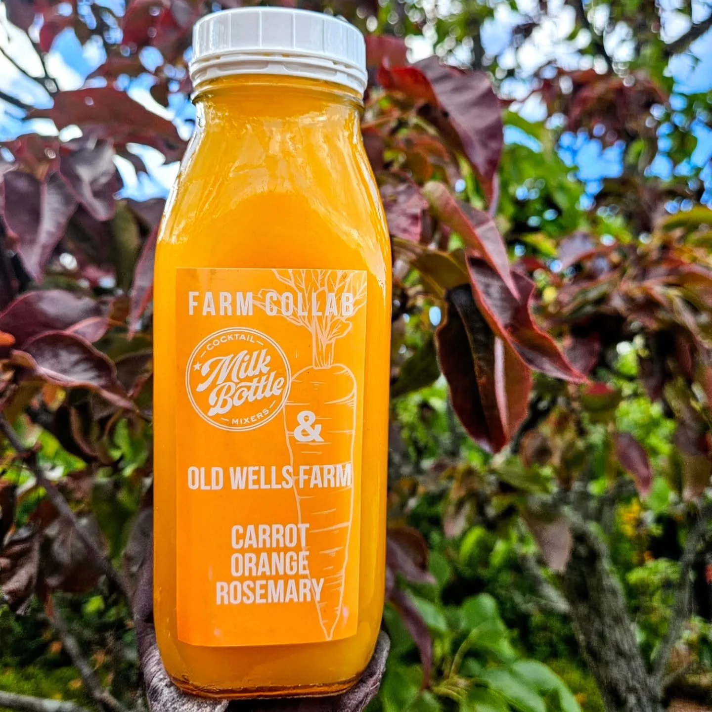 🥕🍊🌿THIS WEEK🌿🍊🥕
CARROT ORANGE ROSEMARY
We roasted @oldwellsfarm organic carrots with their incredible organic rosemary &amp; some tart oranges to make this gorgeous mixer!
It pairs well with bubbles of any sort, gin, tequila, whiskey or really 