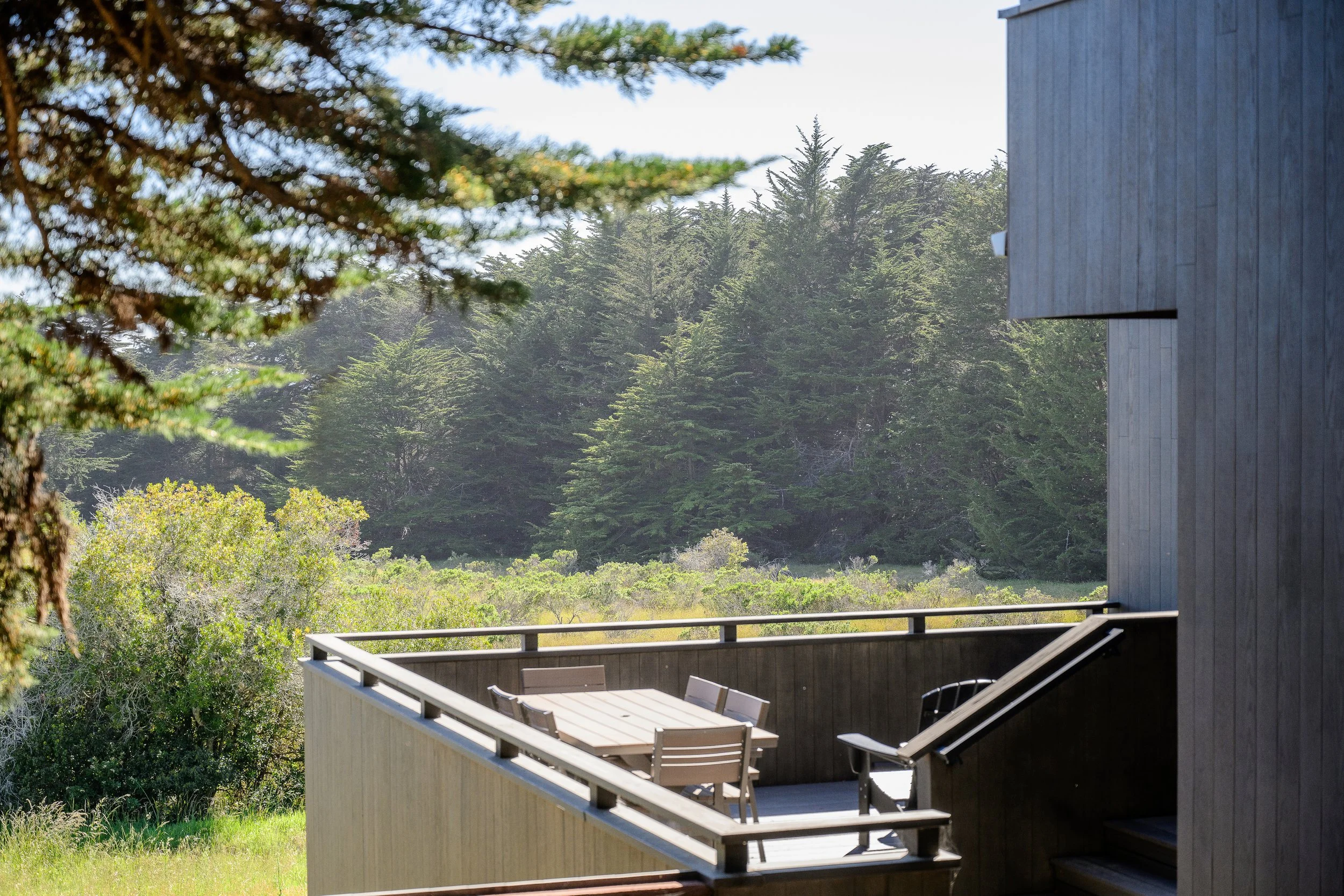Sea Ranch 10 med.jpg