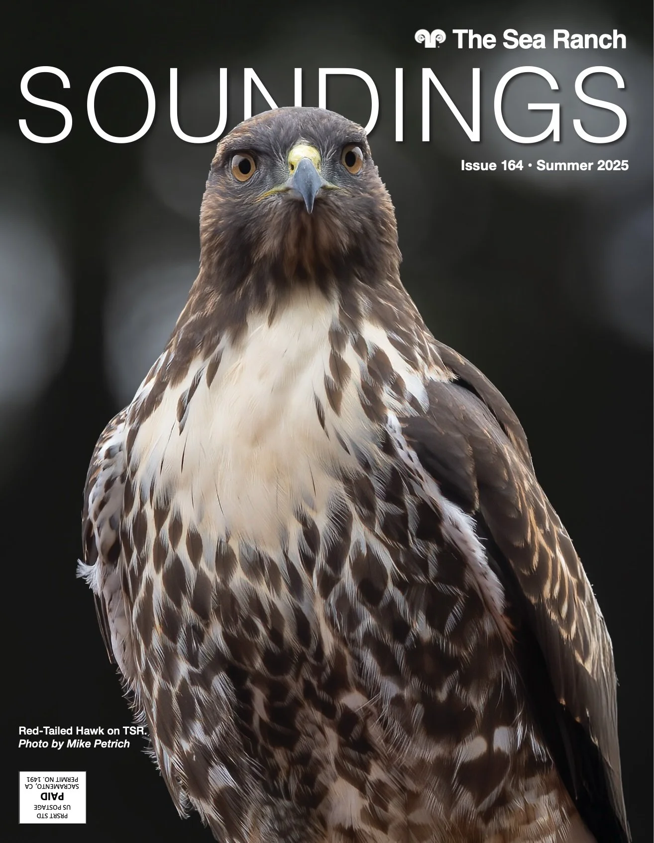 SOUNDINGS: The Sea Ranch Magazine | Summer 2025, Sustainability by the Sea: Sea Ranch & The New Coastal Design