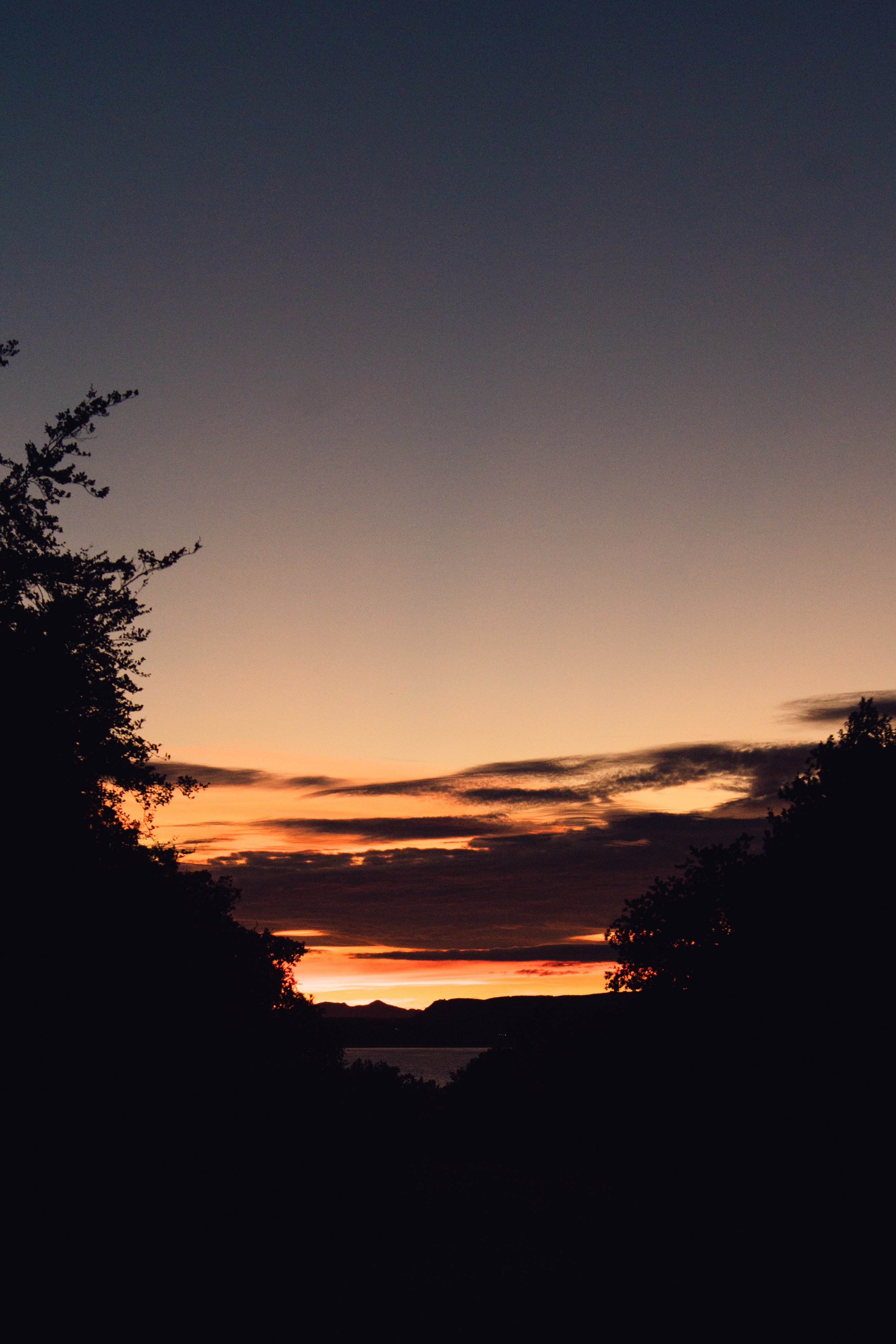 DSC08700.jpg