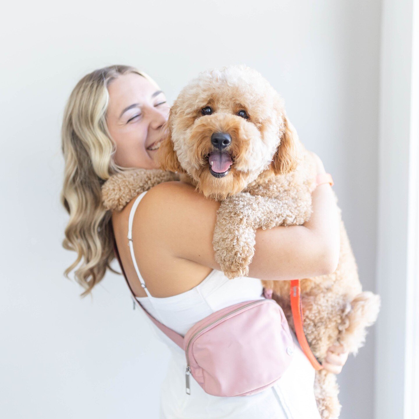 Get ready for all the dog pics today! It&rsquo;s National Dog Day and you know we&rsquo;re here for it 🐶 ⁠
We&rsquo;ll be loving up your pups all day in our stories &mdash; be sure to tag us in your photos so we can share yours too!