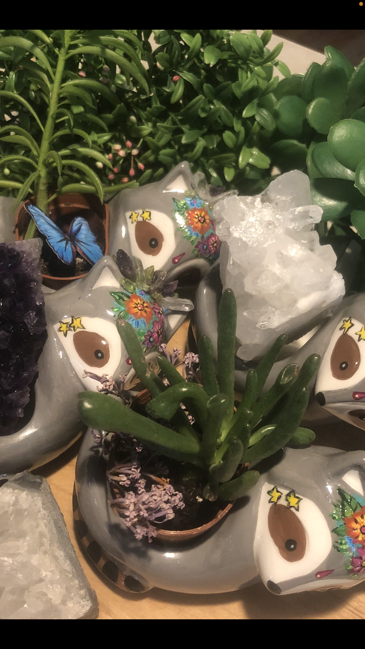 Ms M's Trinket • Crystal • Little Plant Holder #2