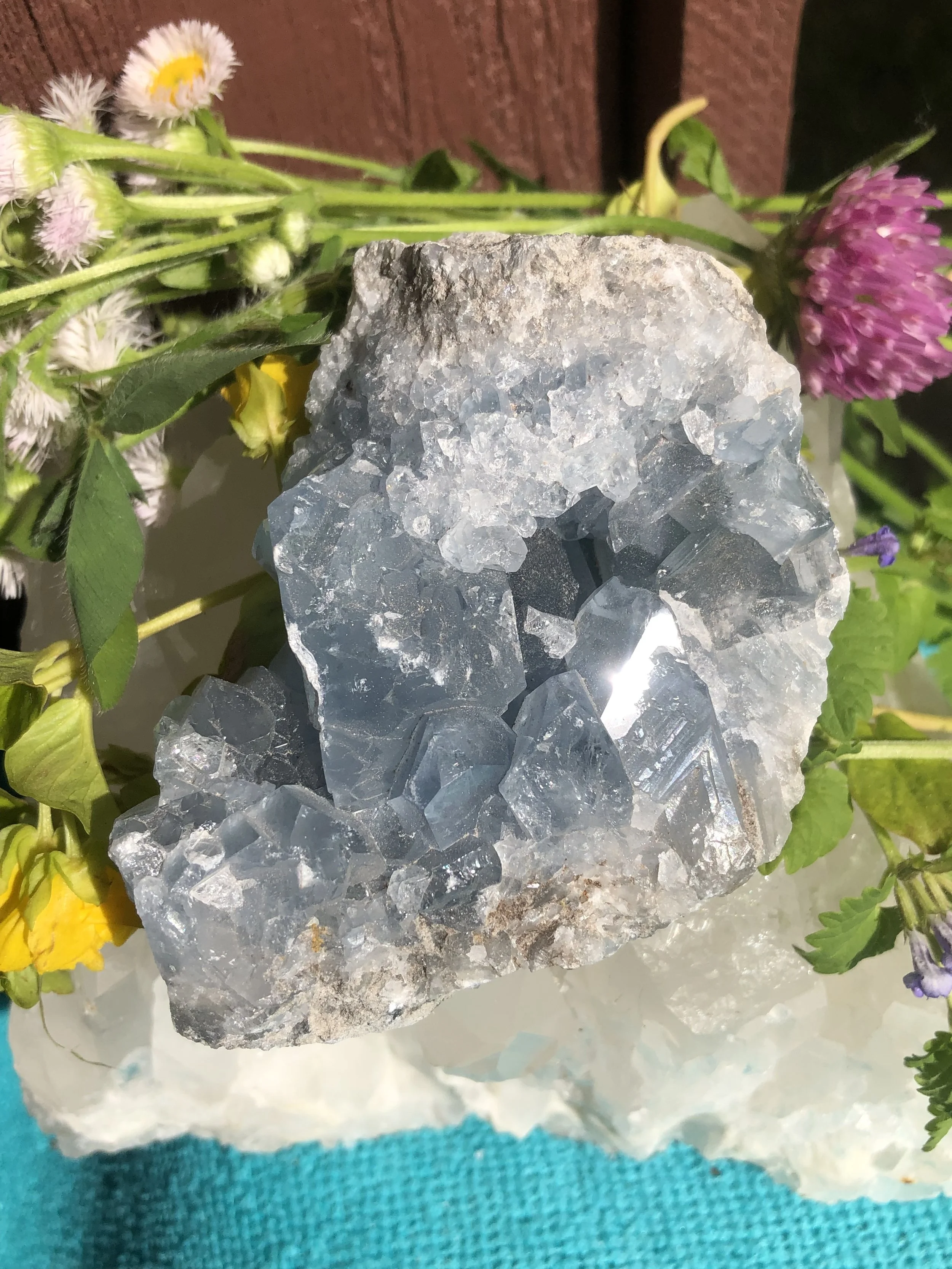 Raw Celestite #8