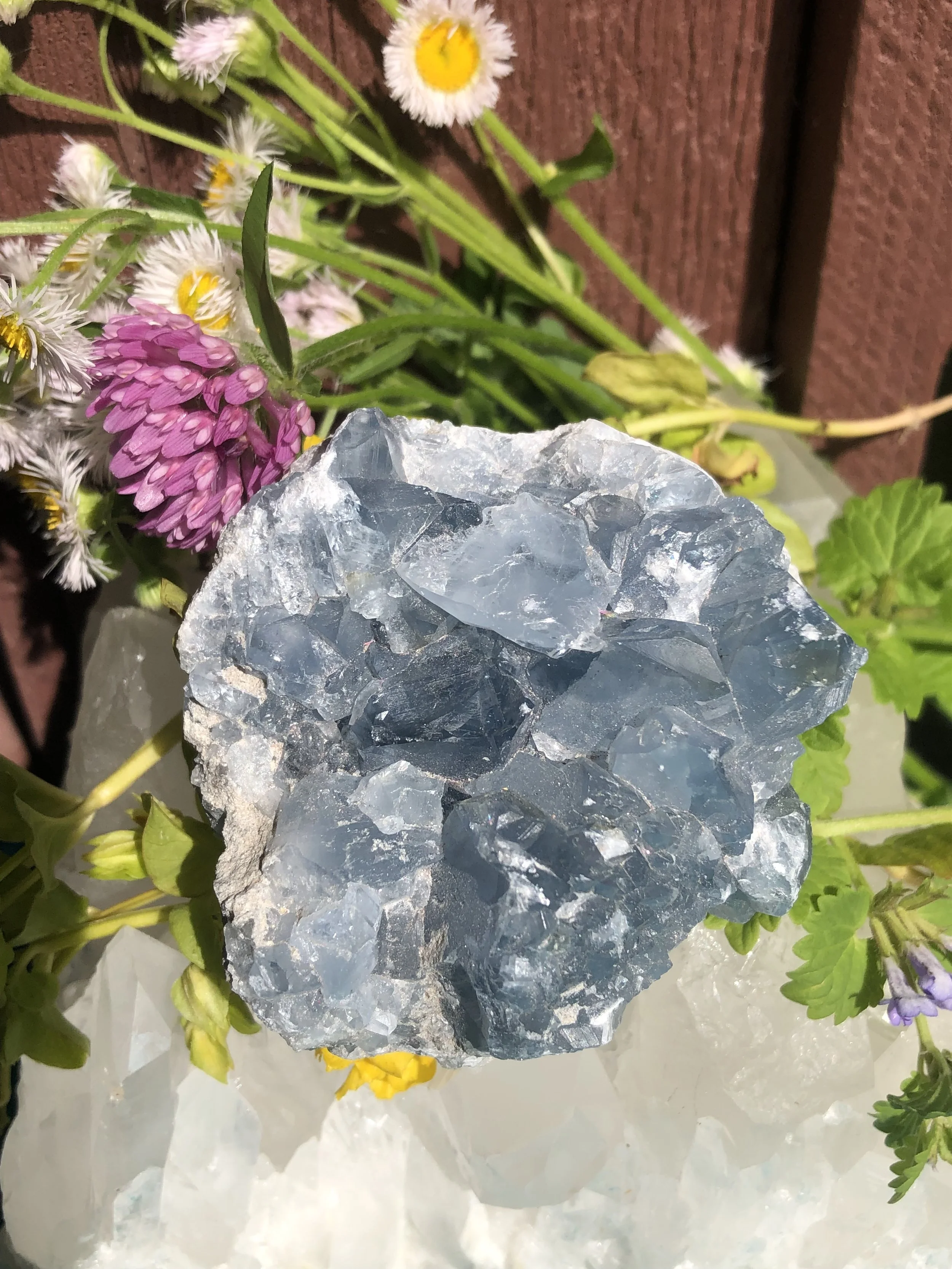 Raw Celestite #6