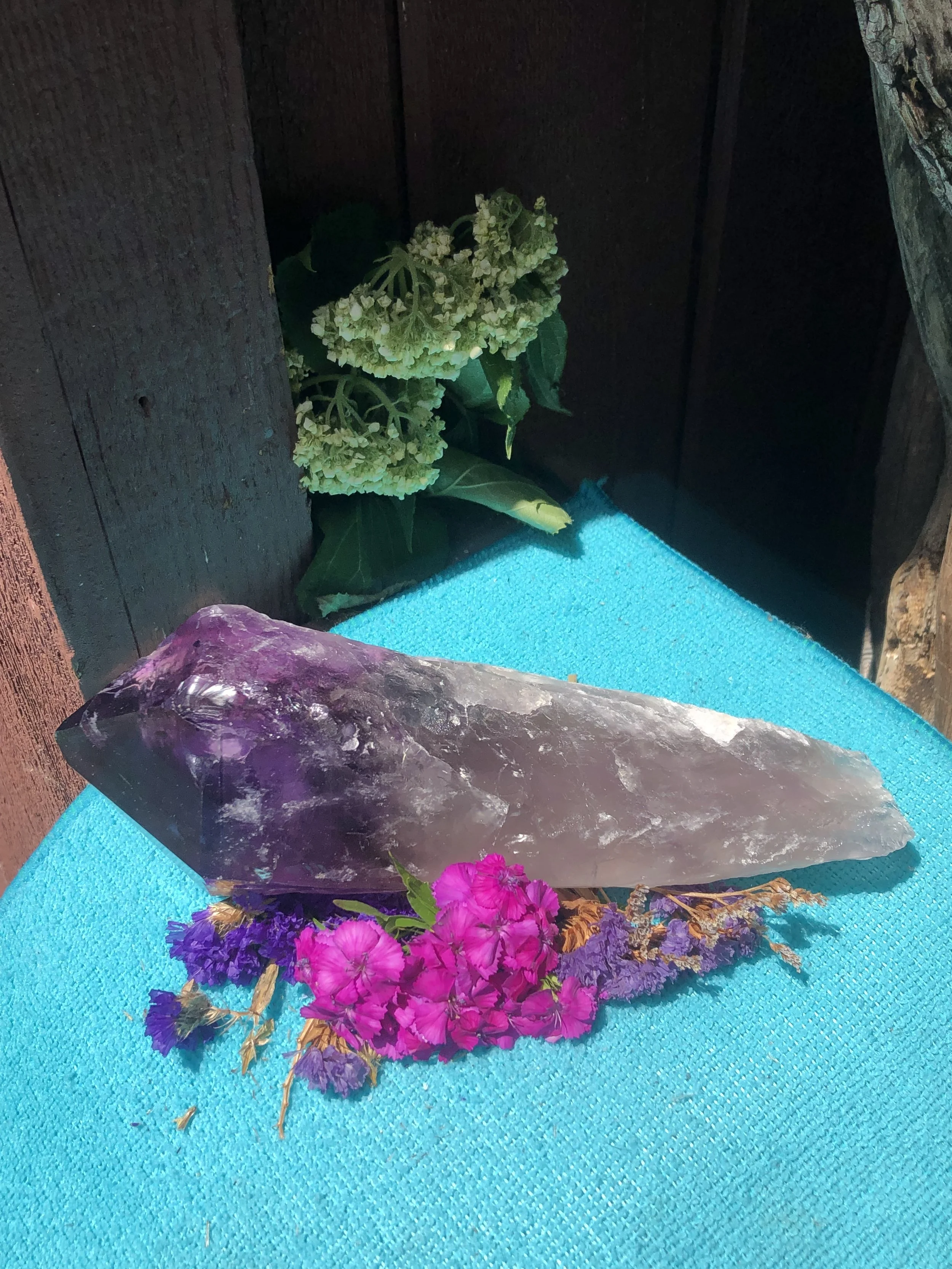 X-Large Natural Amethyst Scepter Point #4