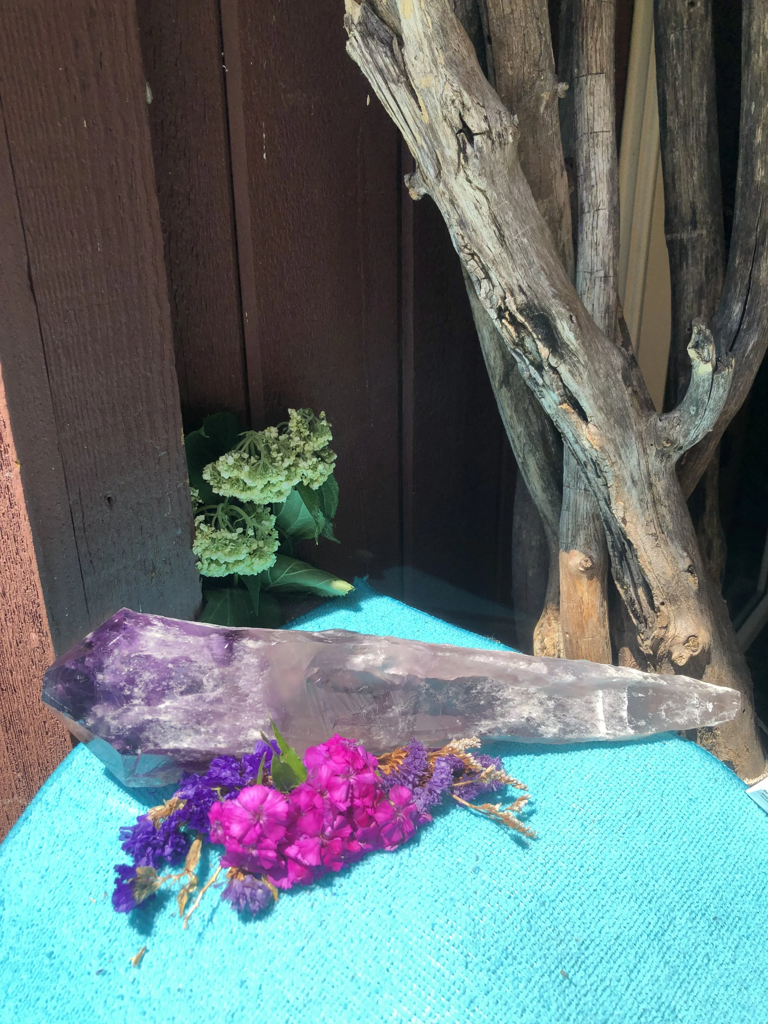 X-Large Natural Amethyst Scepter Point #3