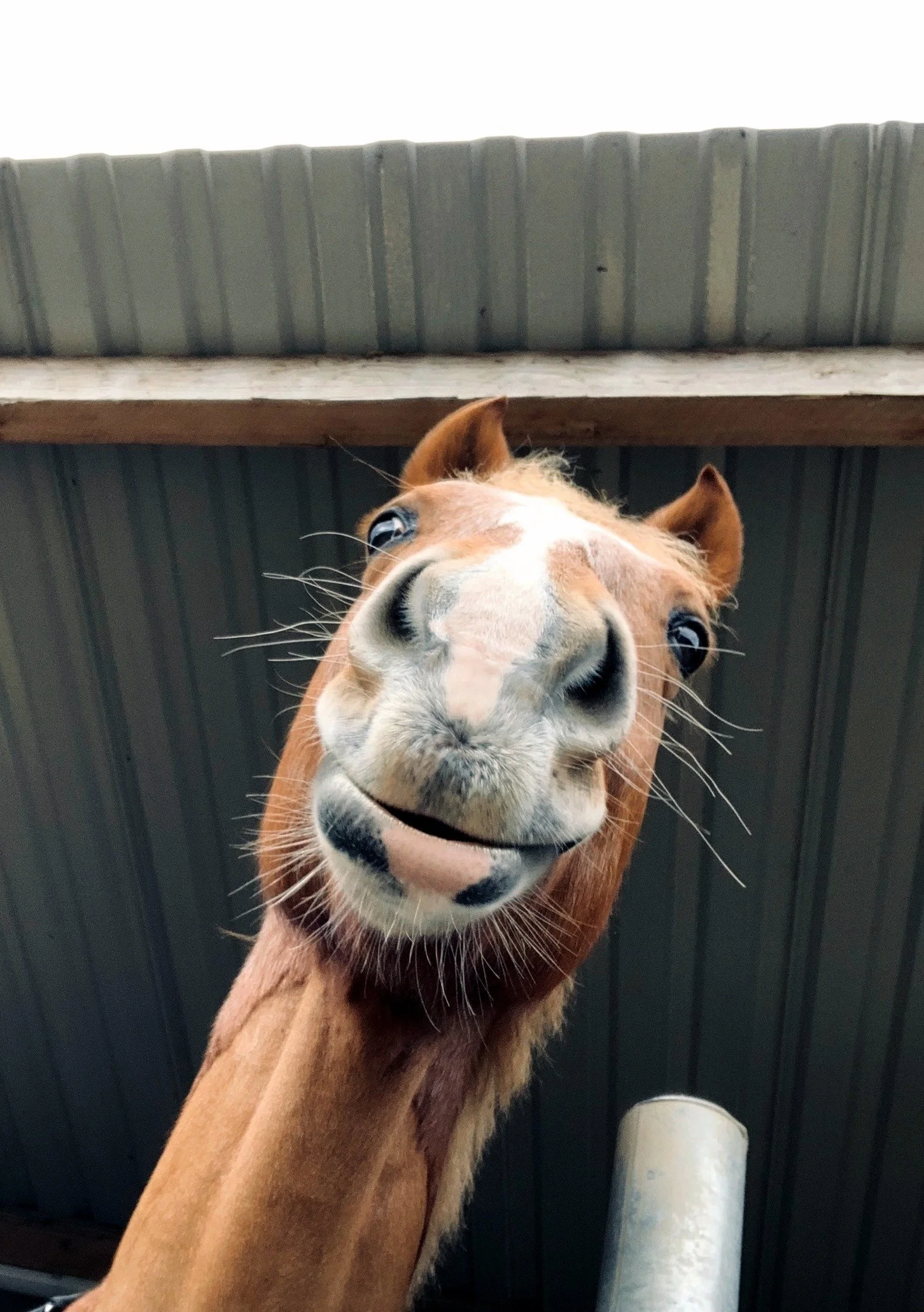 moulin_neuf_album (9).jpeg