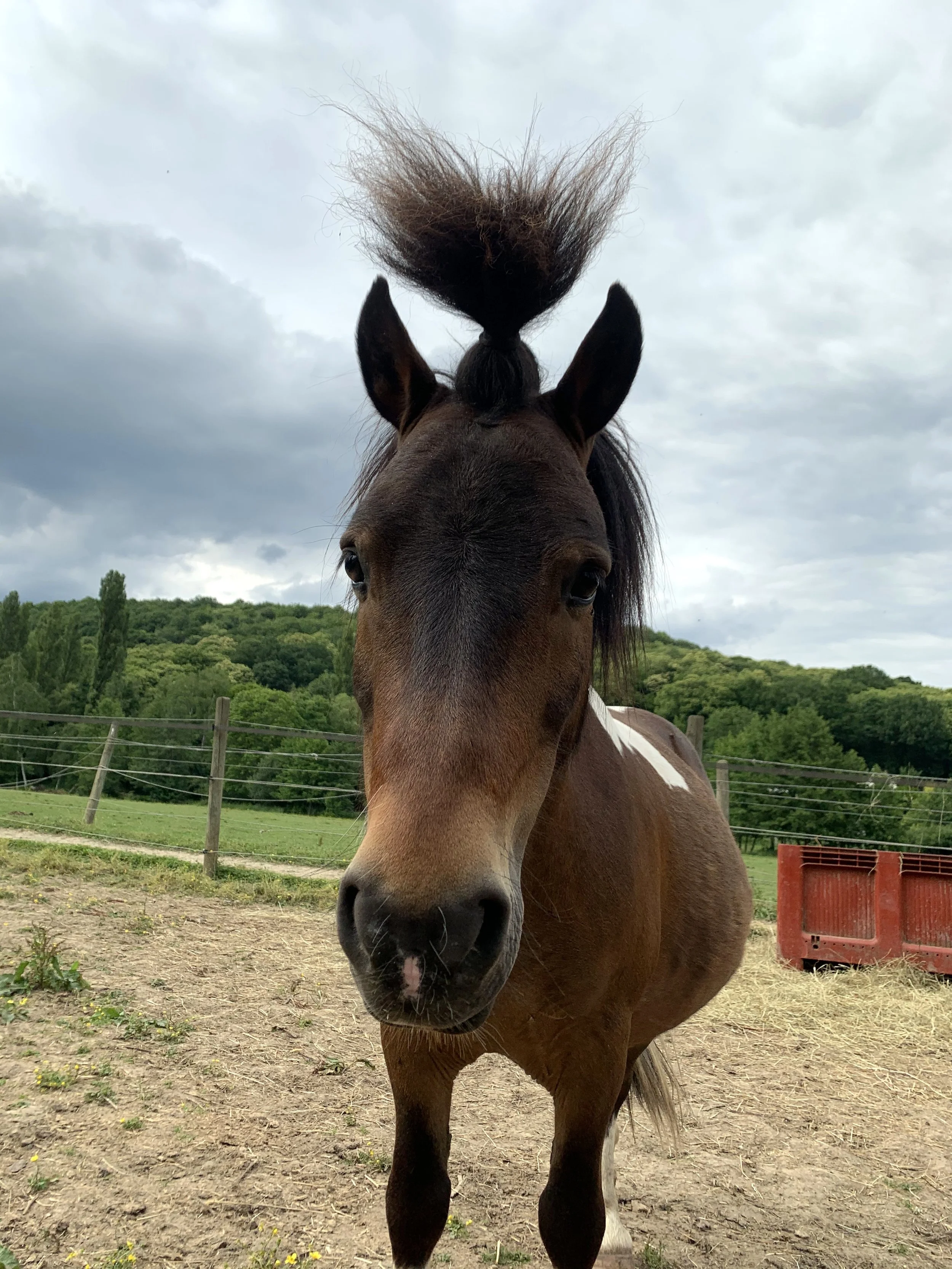 moulin_neuf_album (7).jpeg