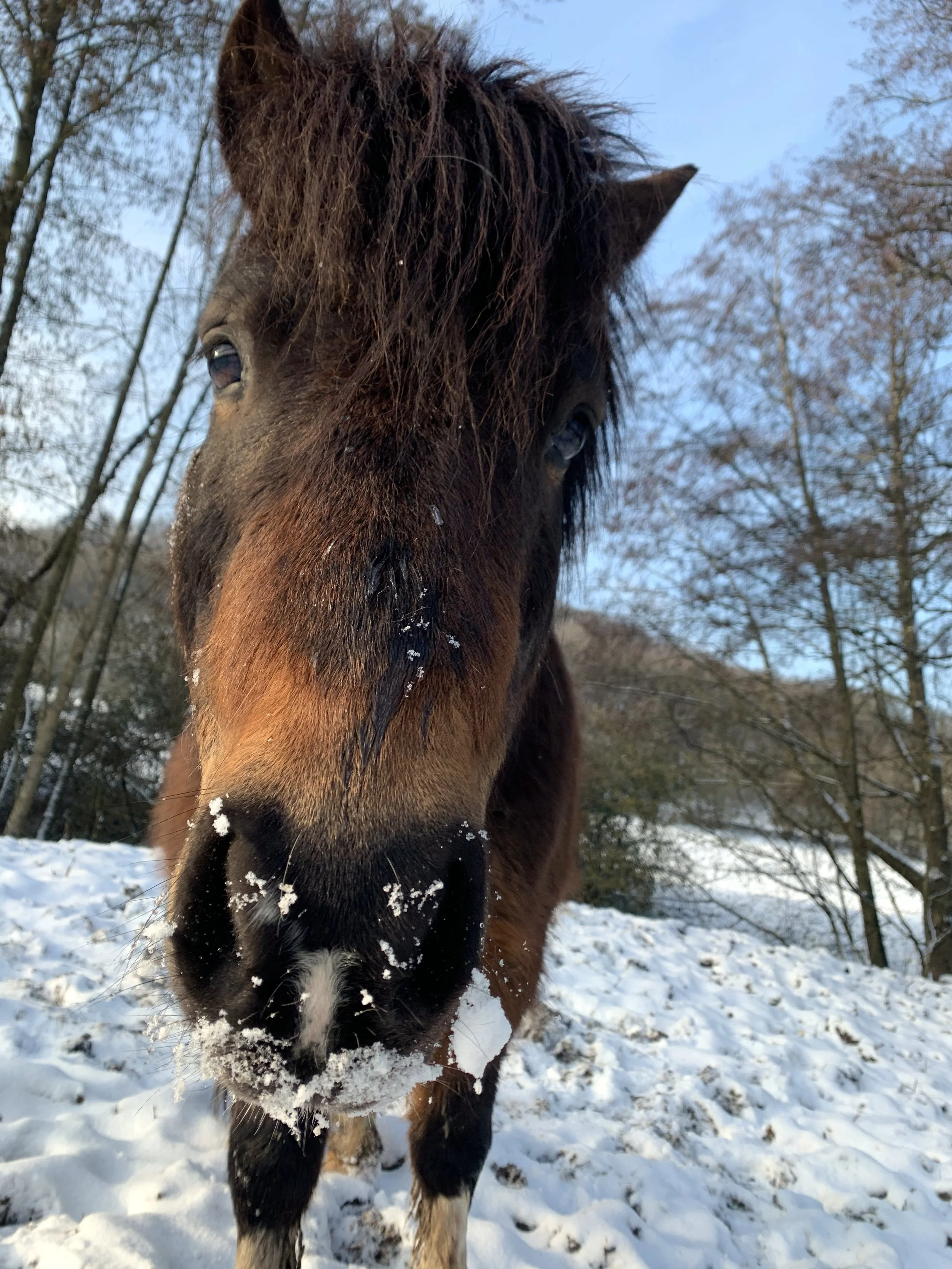 moulin_neuf_album (12).jpeg