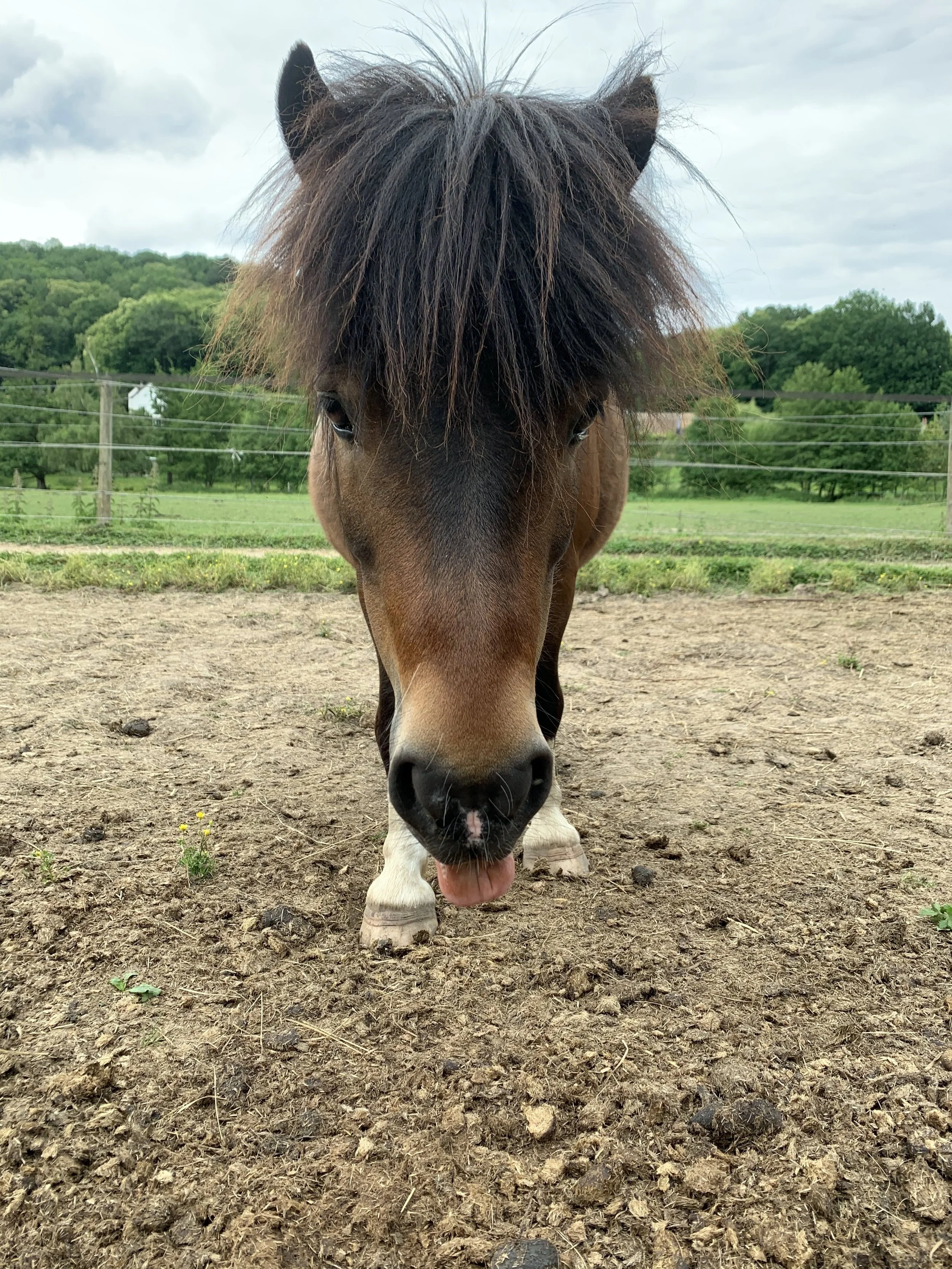 moulin_neuf_album (6).jpeg