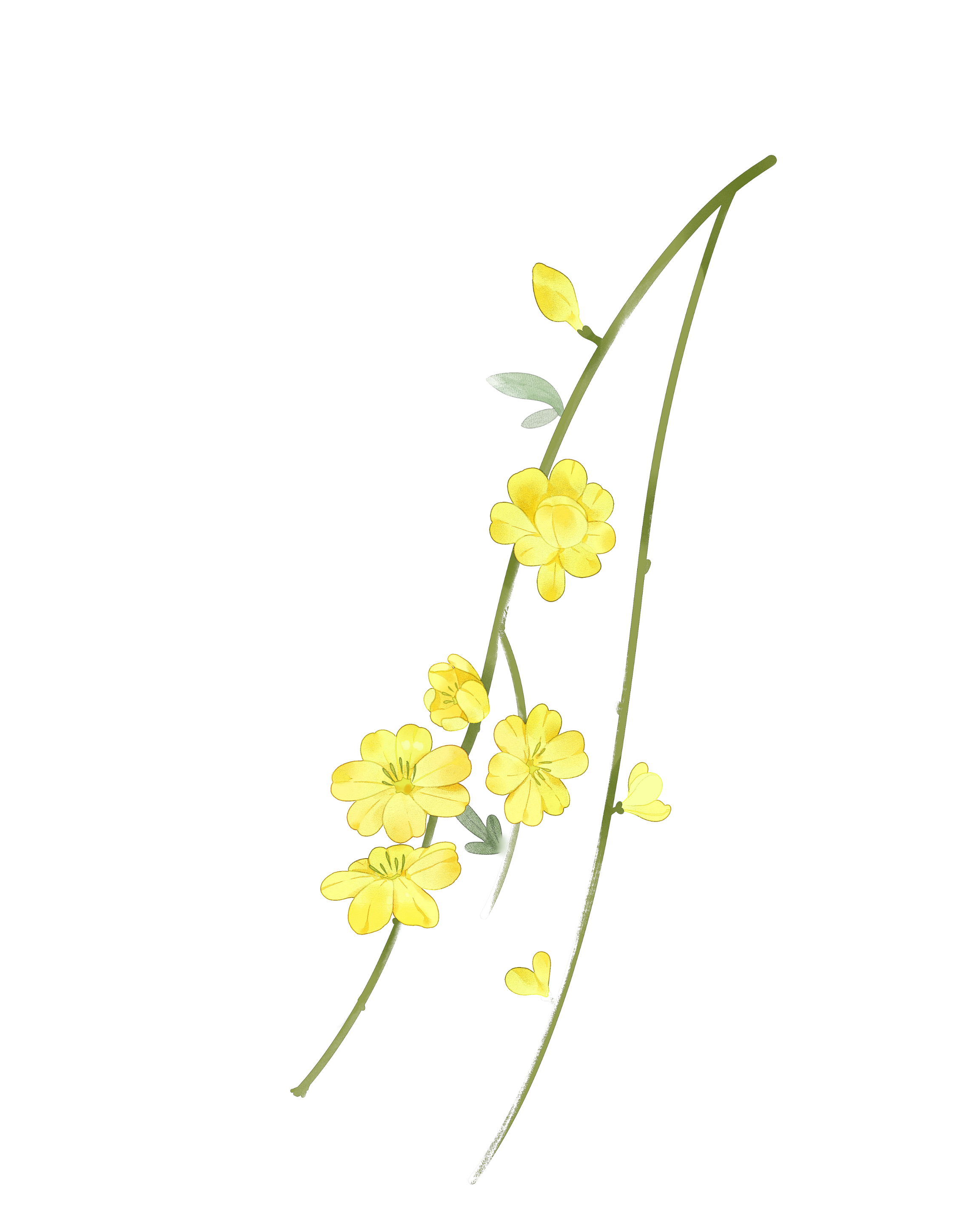 A climbing plant with yellow flowers growing on a vertical support with green, red, and brown sections.