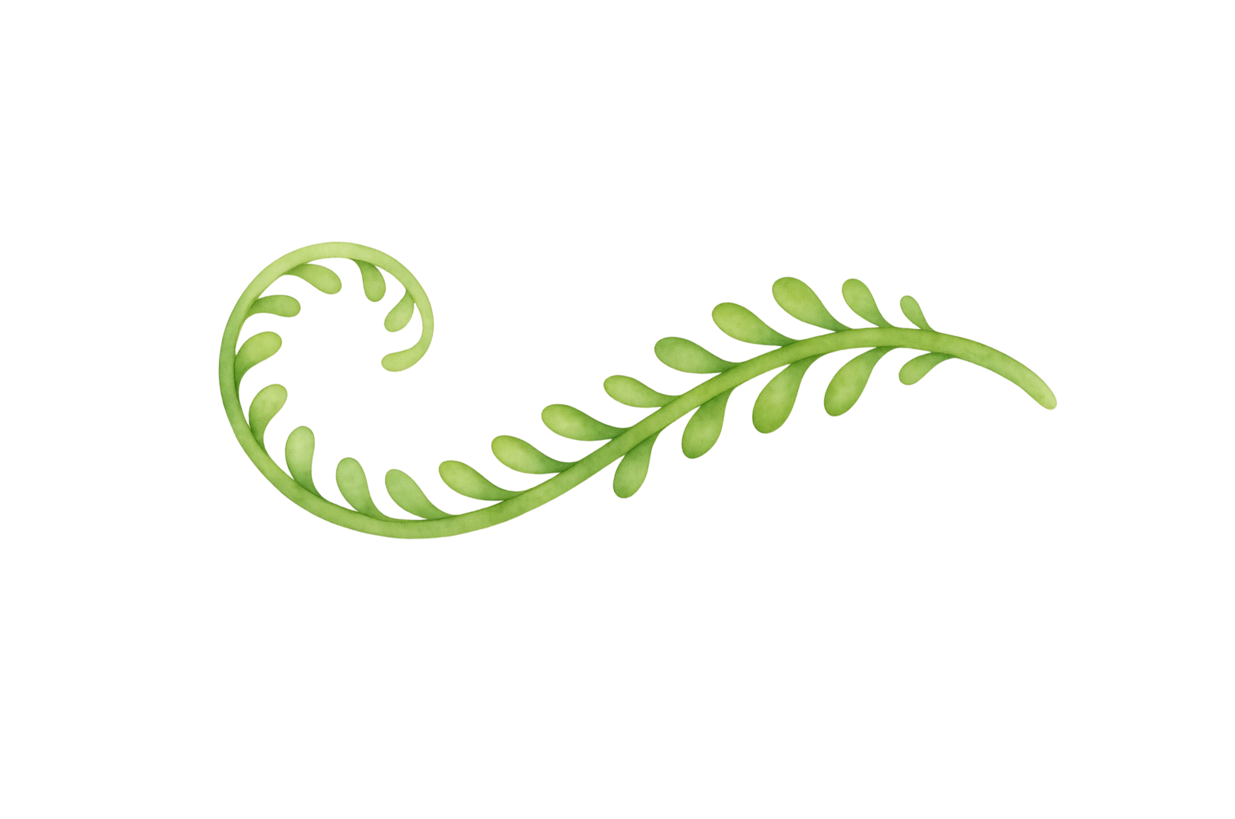 Green decorative fern leaf on a black background