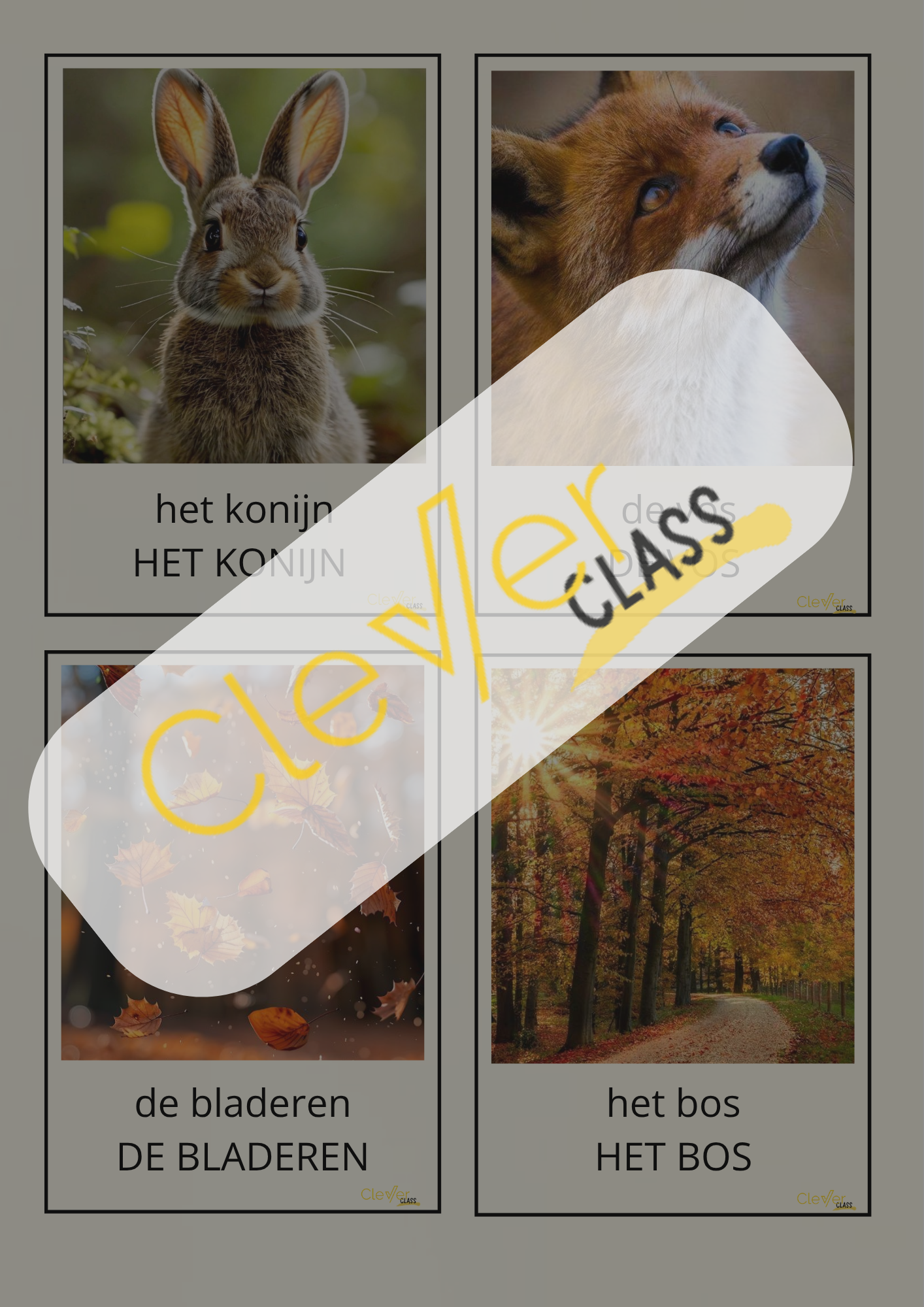 15.png
