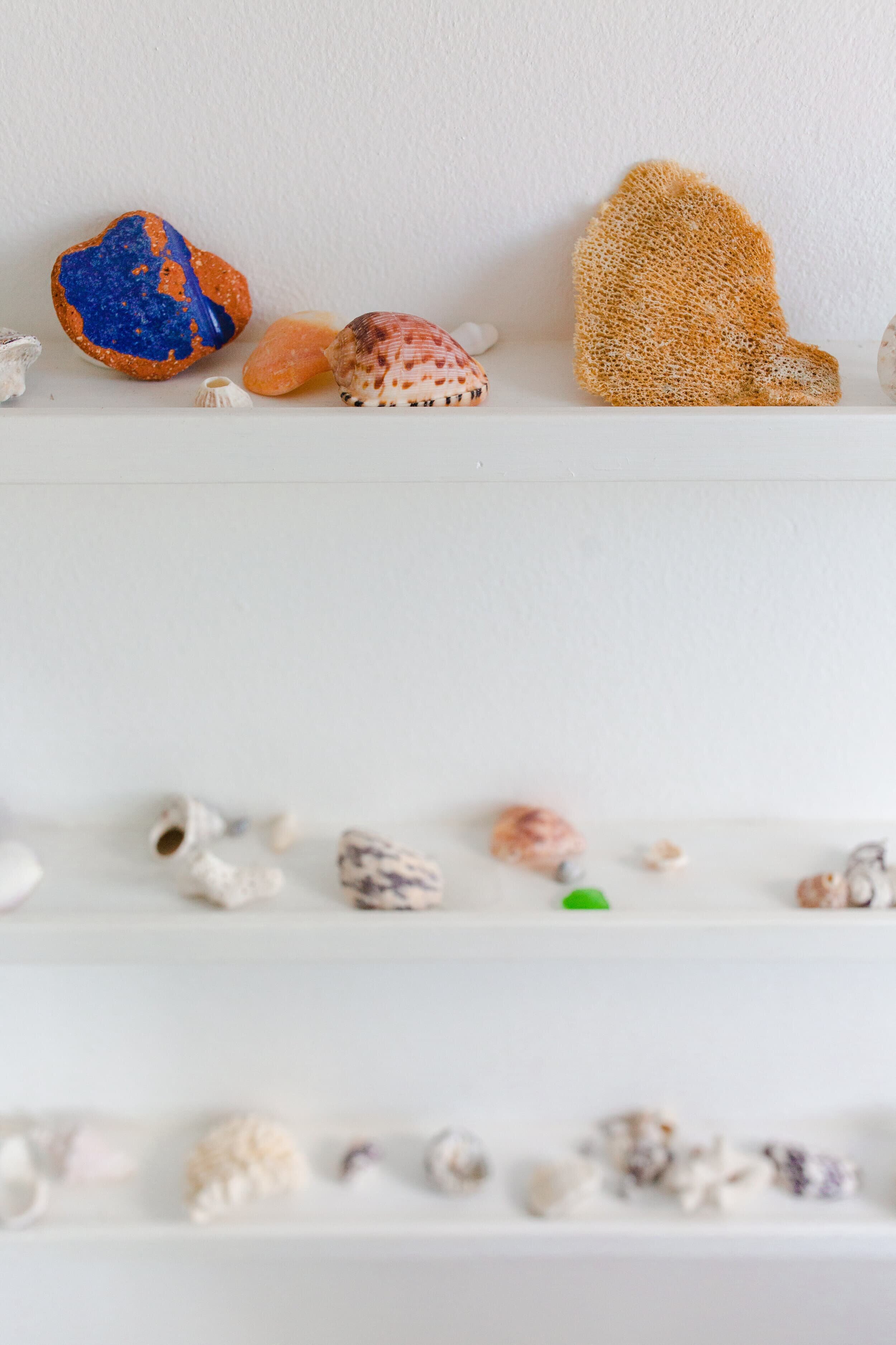  seashell shelf 