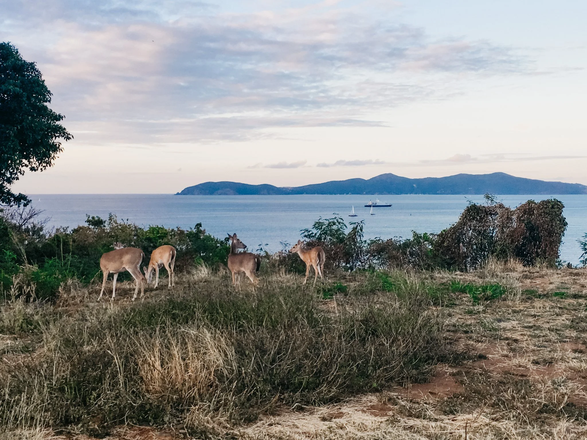 7 Best Hikes in St. John, USVI