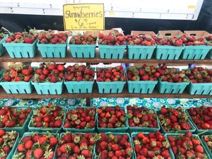 VENDORS — Irvington Farmers Market