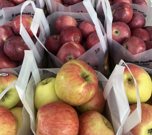 Sliding into September...Spaghetti Squash, Sharpening, Spanakopita and Shana Tova!