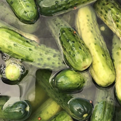 Pickles, Pears and Pumpkins