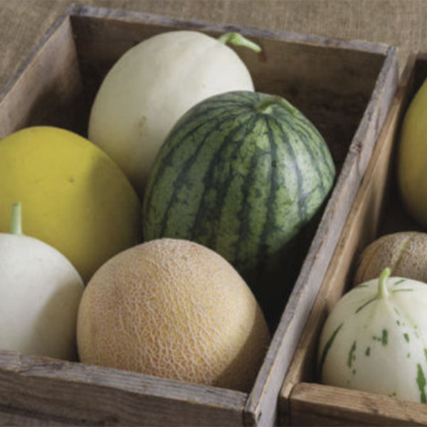 Honey Dew, Hand Pies and Honey Crisp