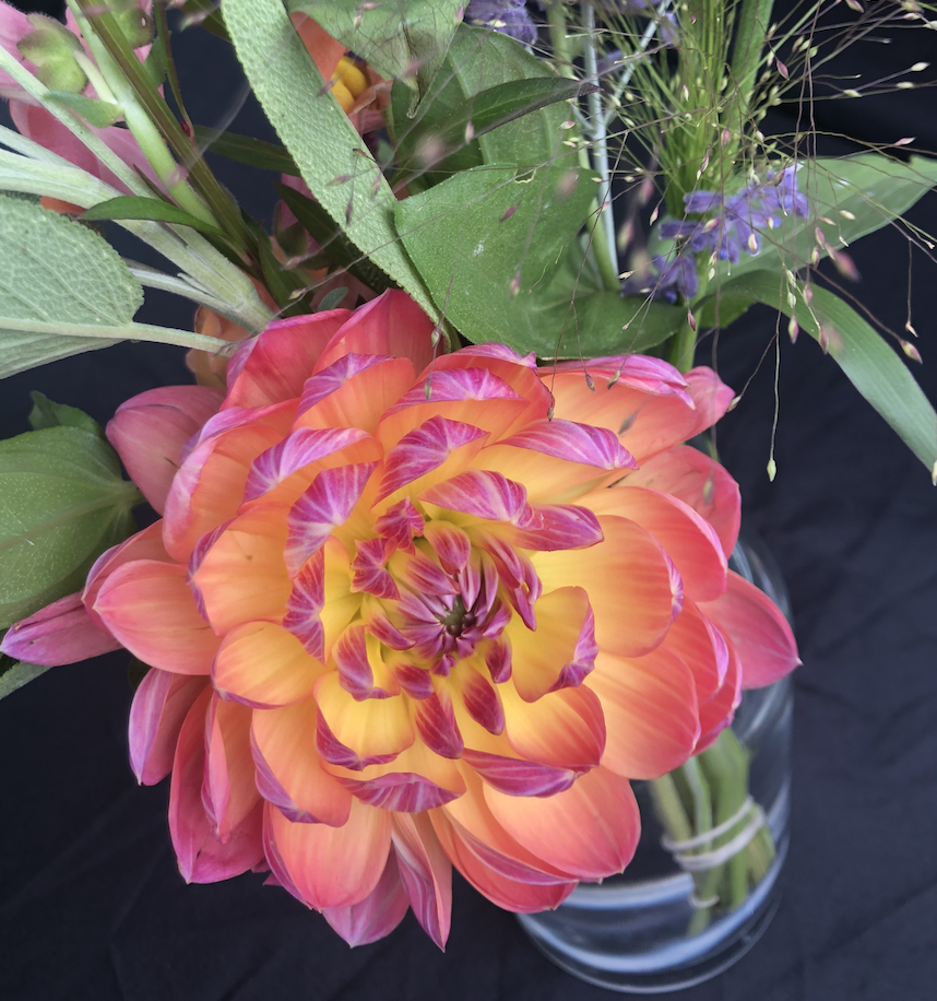 Summer’s Last Hurrah