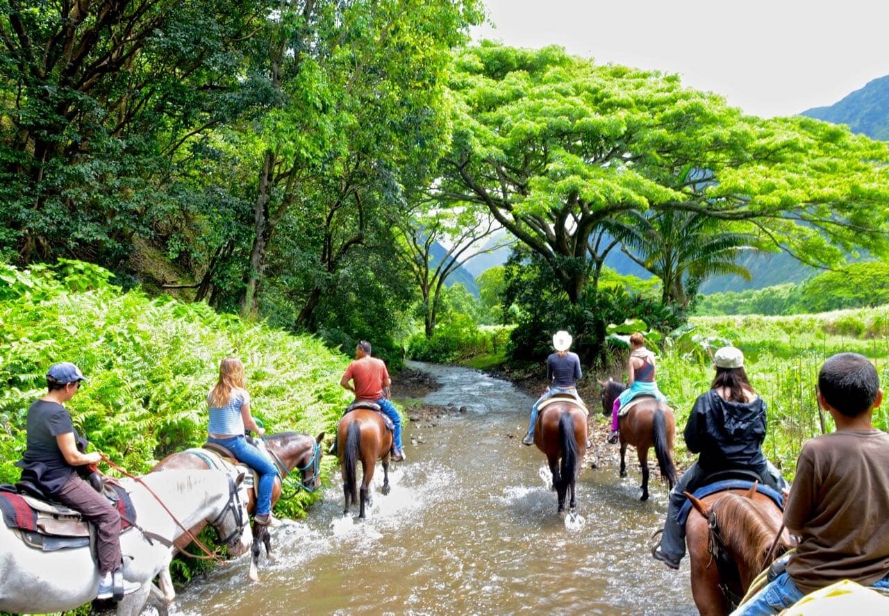 horseback_tour_waipio_valley.jpeg