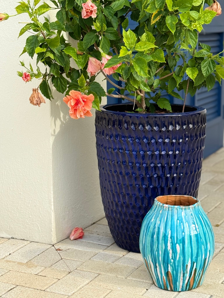 Onofrio Acone ceramic next to potted hibiscus.png