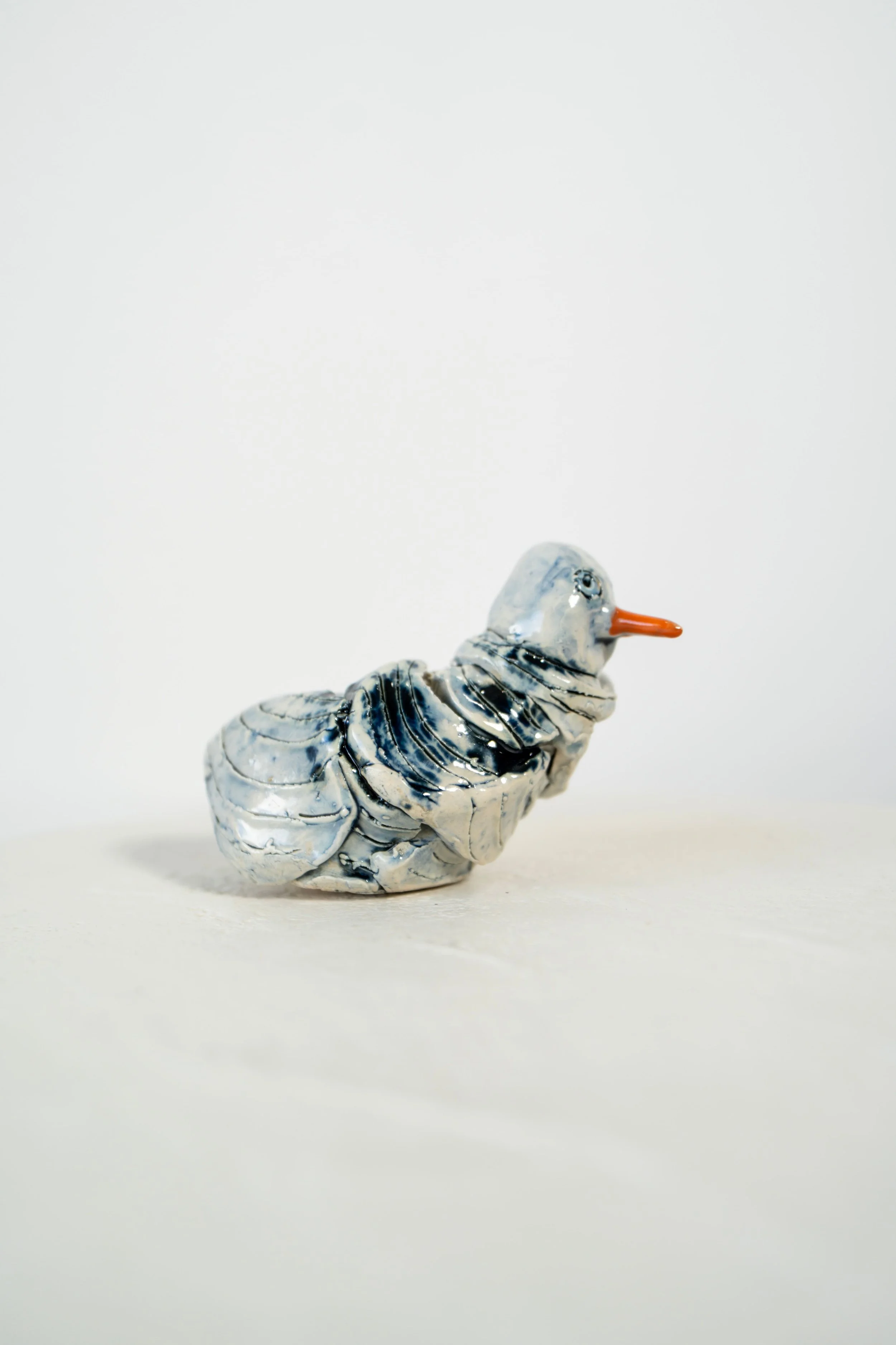 Crazy Bird side View.jpeg