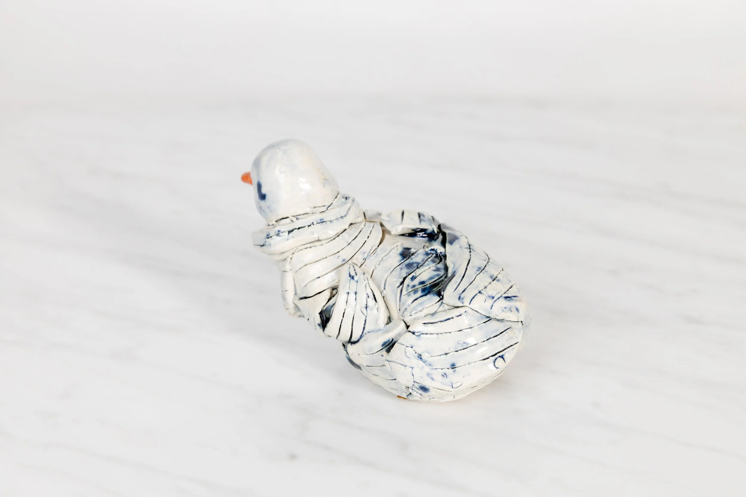 Crazy Bird Back.jpeg