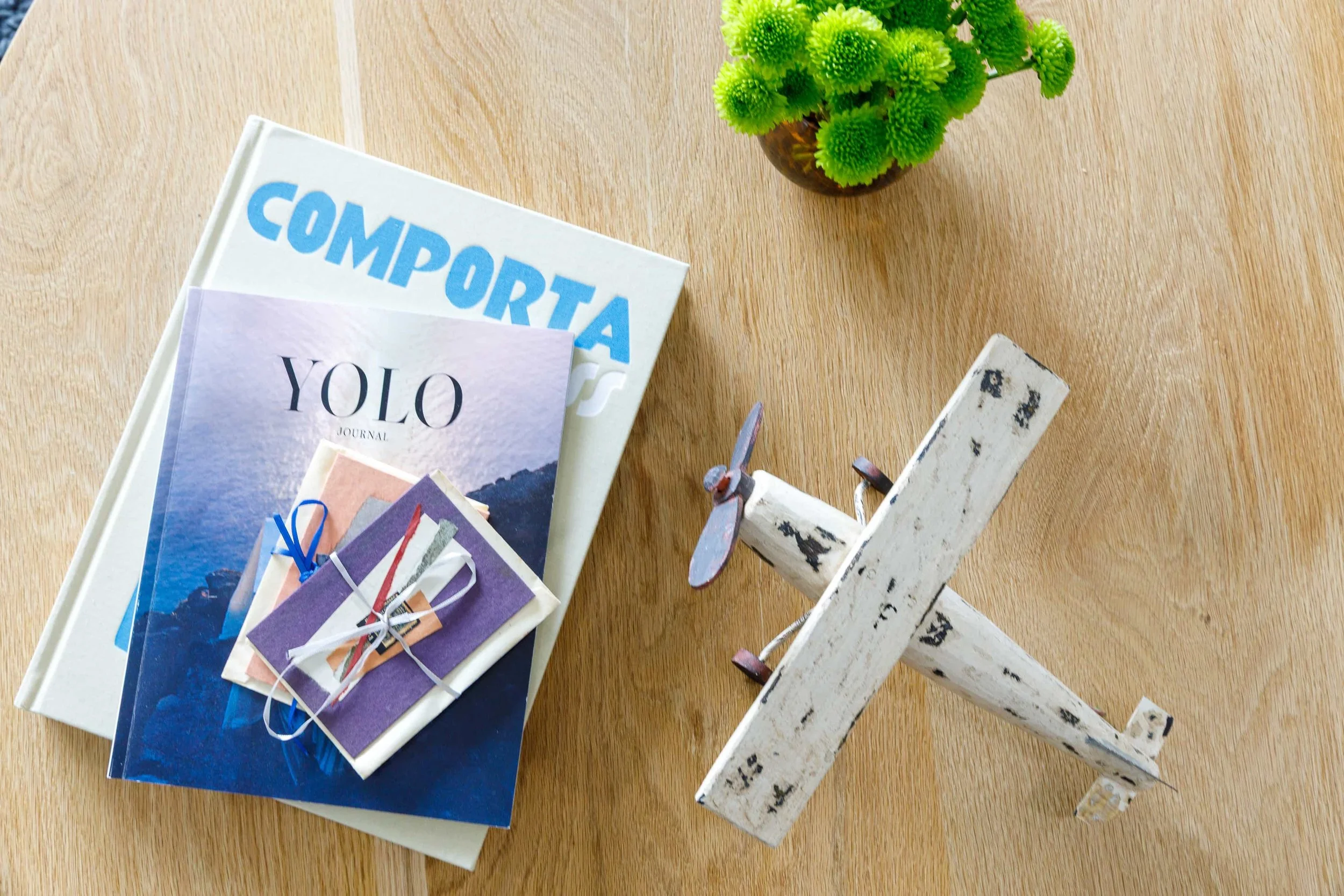 Vintage wooden airplane-Overhead shot.jpeg