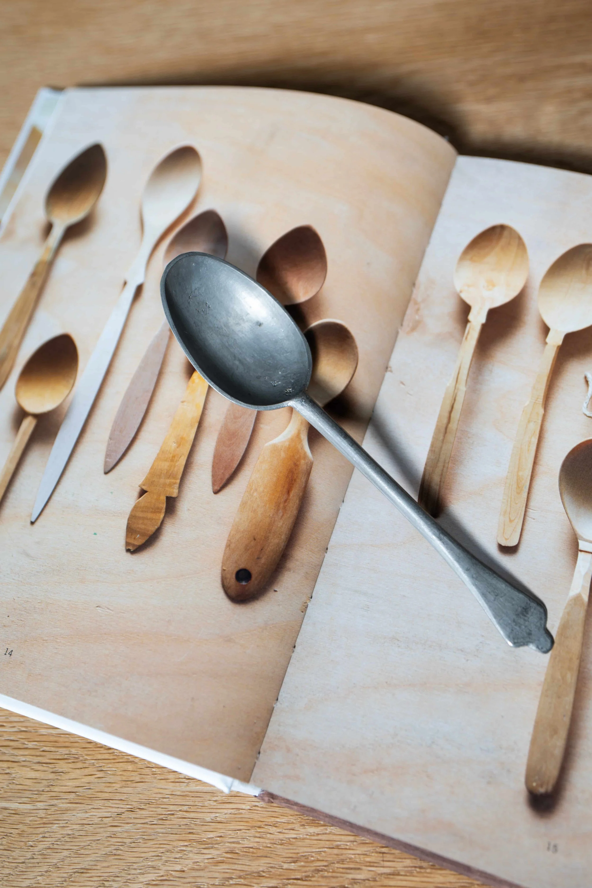Pewter Spoon on Book.jpeg