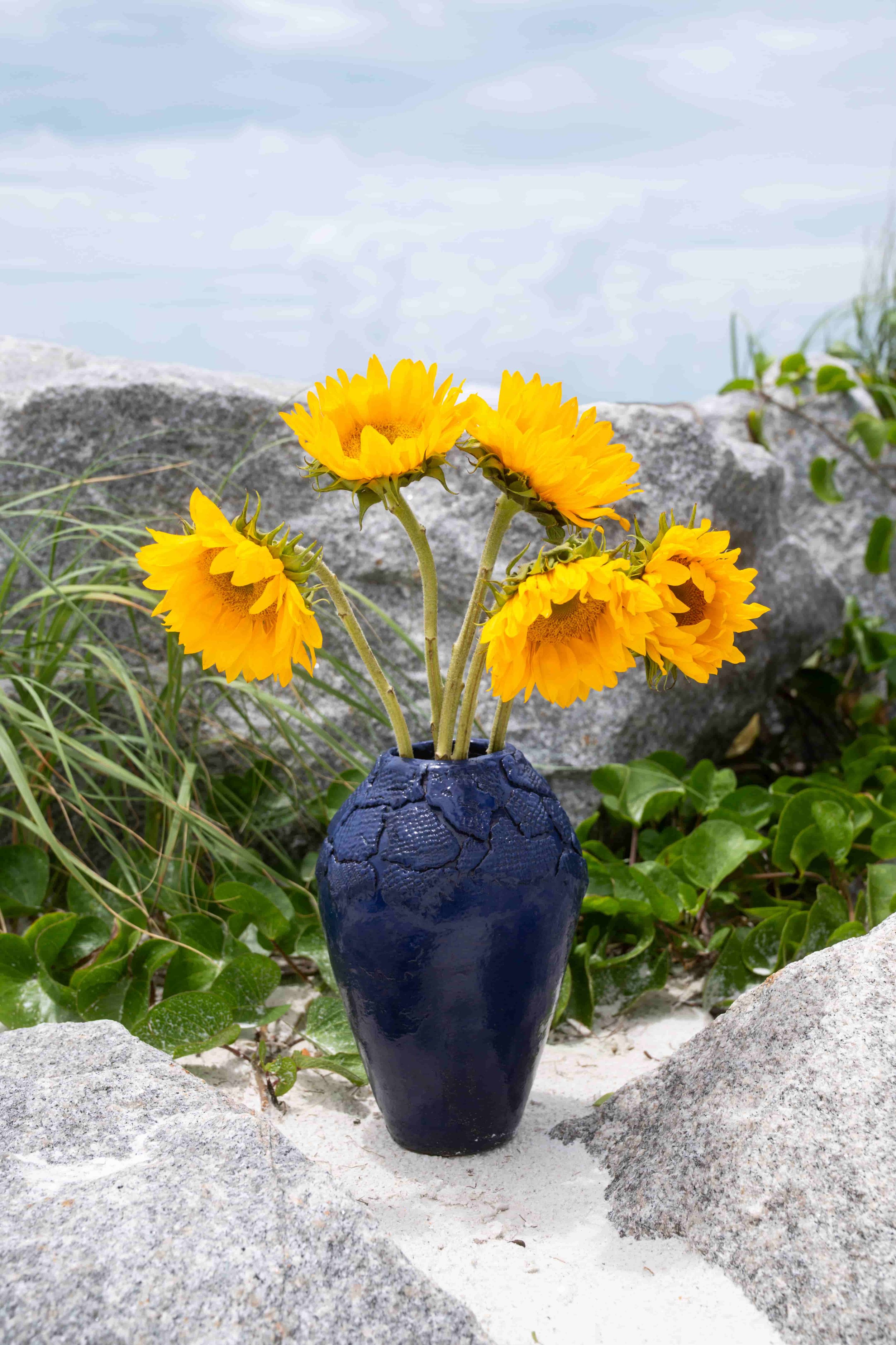 Rough blue pot with sunflowers.jpeg