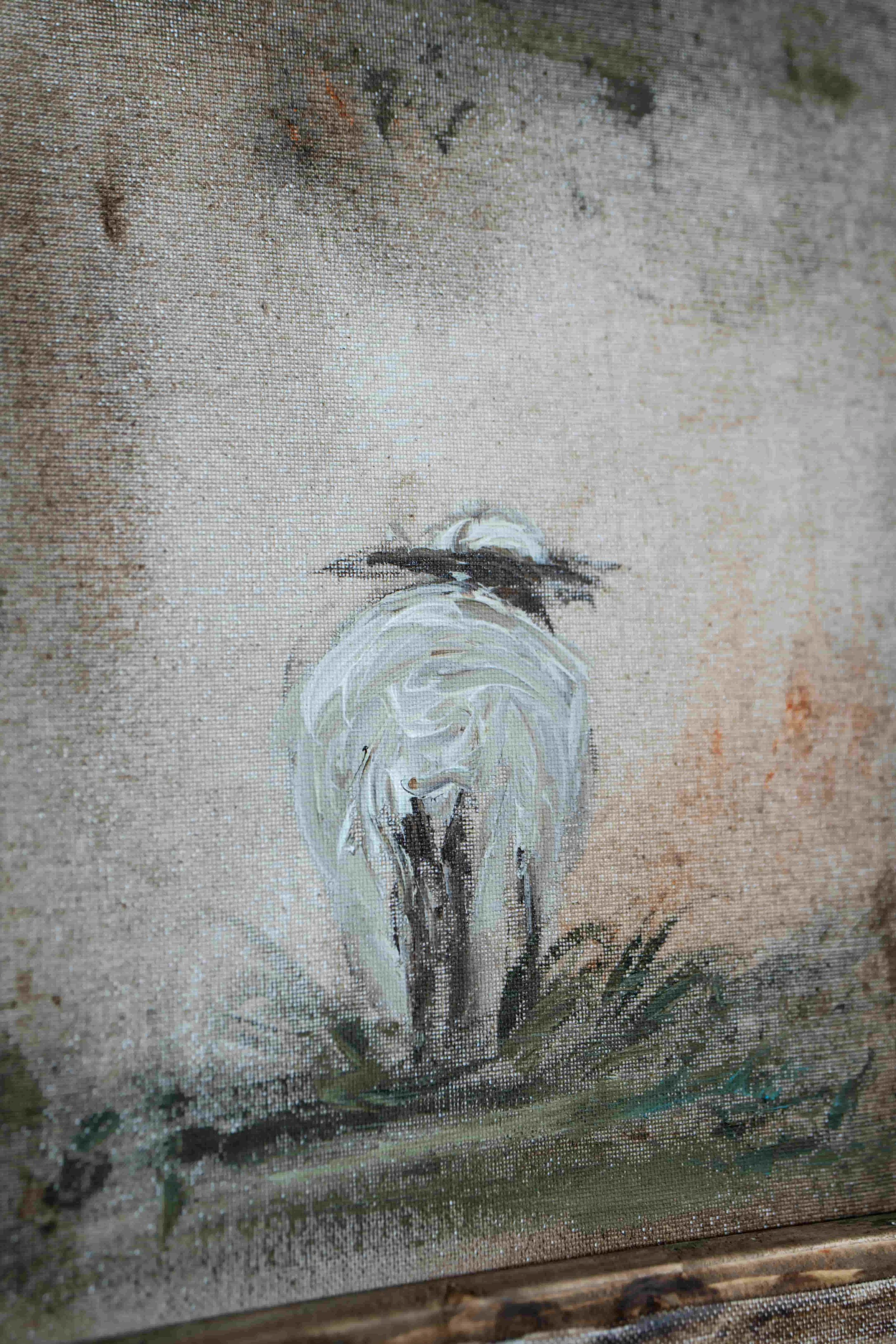 Close up of Sheep  Painting.jpeg