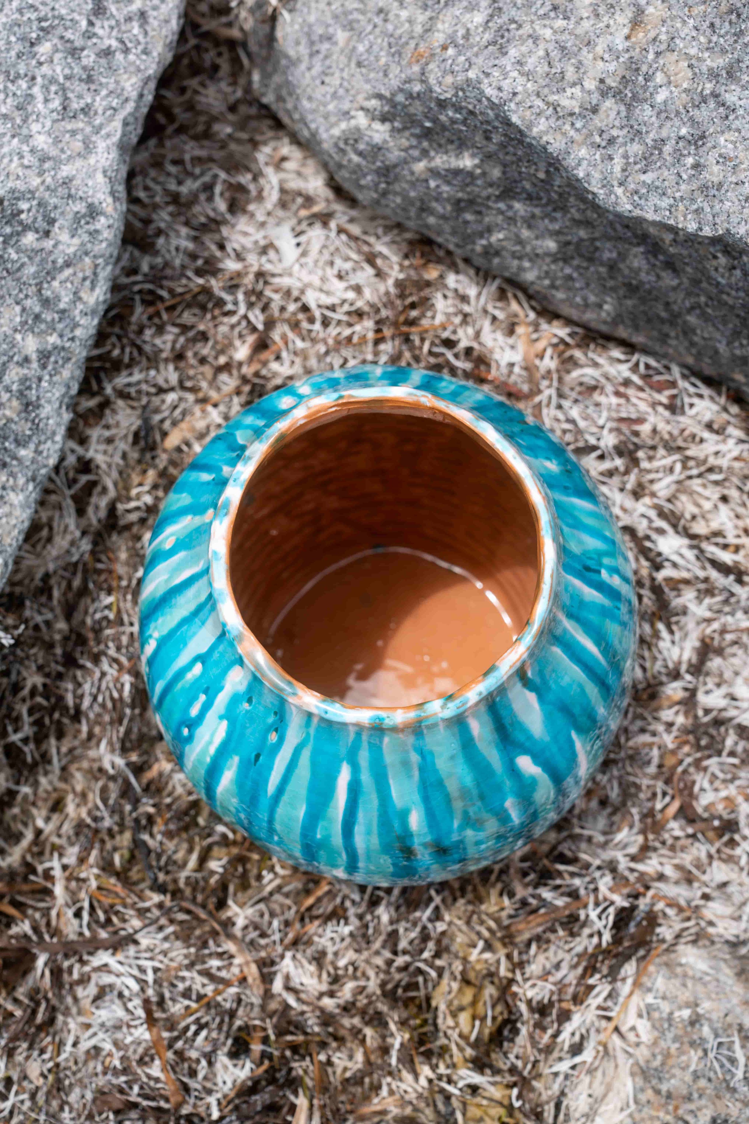 Interior shot of terra cotta pot.jpeg
