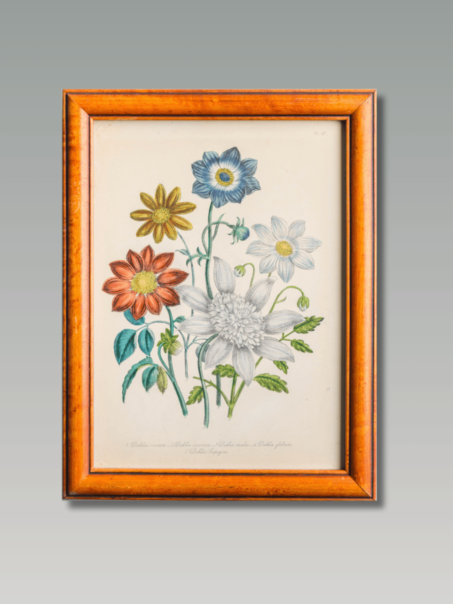 Framed Antique Floral Lithograph