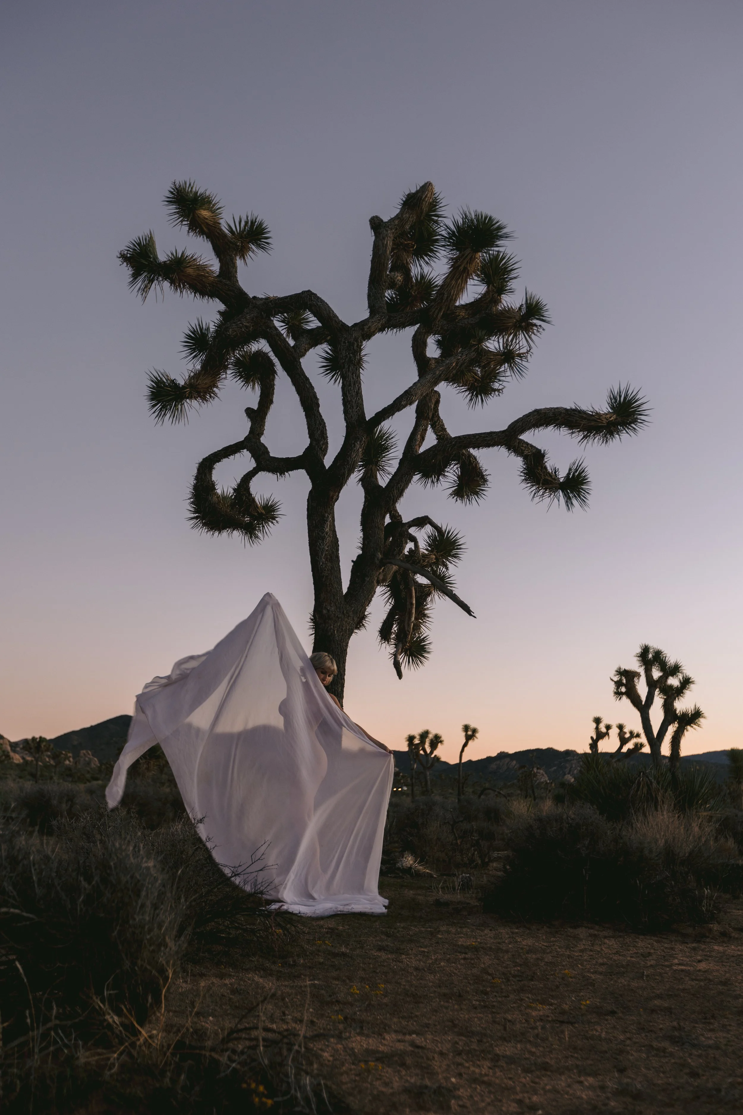 A person wrapped in a flowing white fabric standing on desert terrain at sunset, with a Joshua tree and mountain in the background.