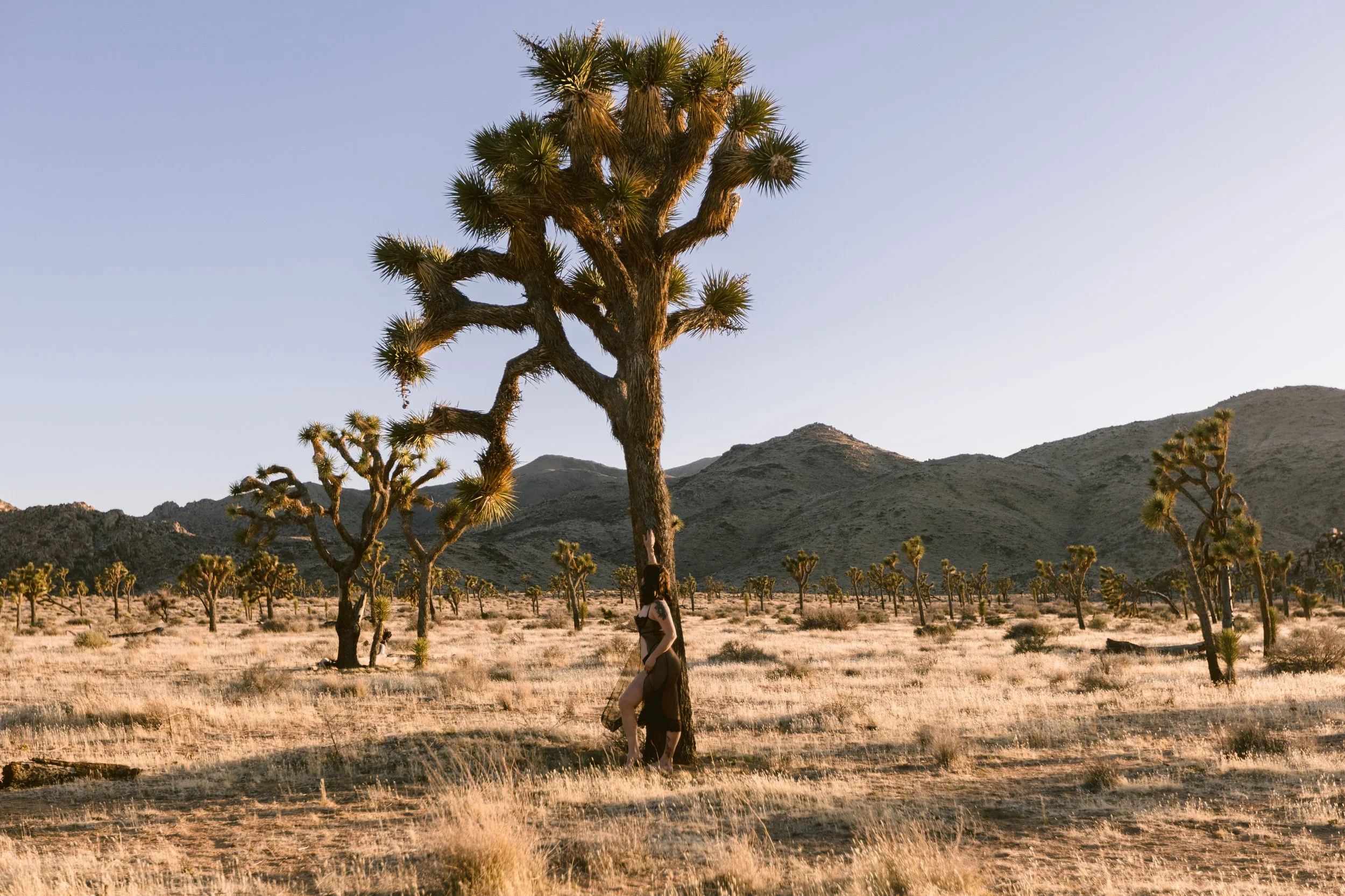 Joshua-Tree-Boudoir-Photographer09310.JPG
