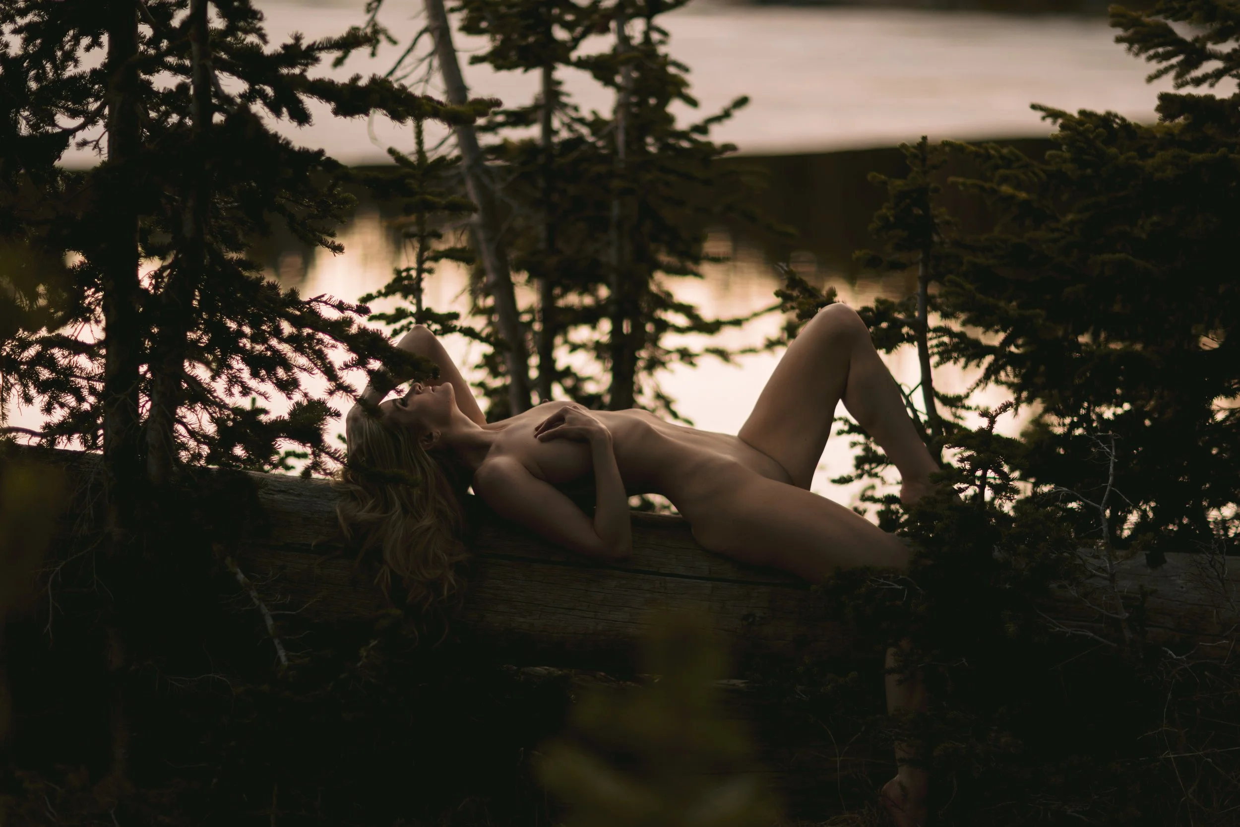 A woman lying on a fallen log in a forest near a body of water at sunset, surrounded by trees with a peaceful and natural atmosphere.