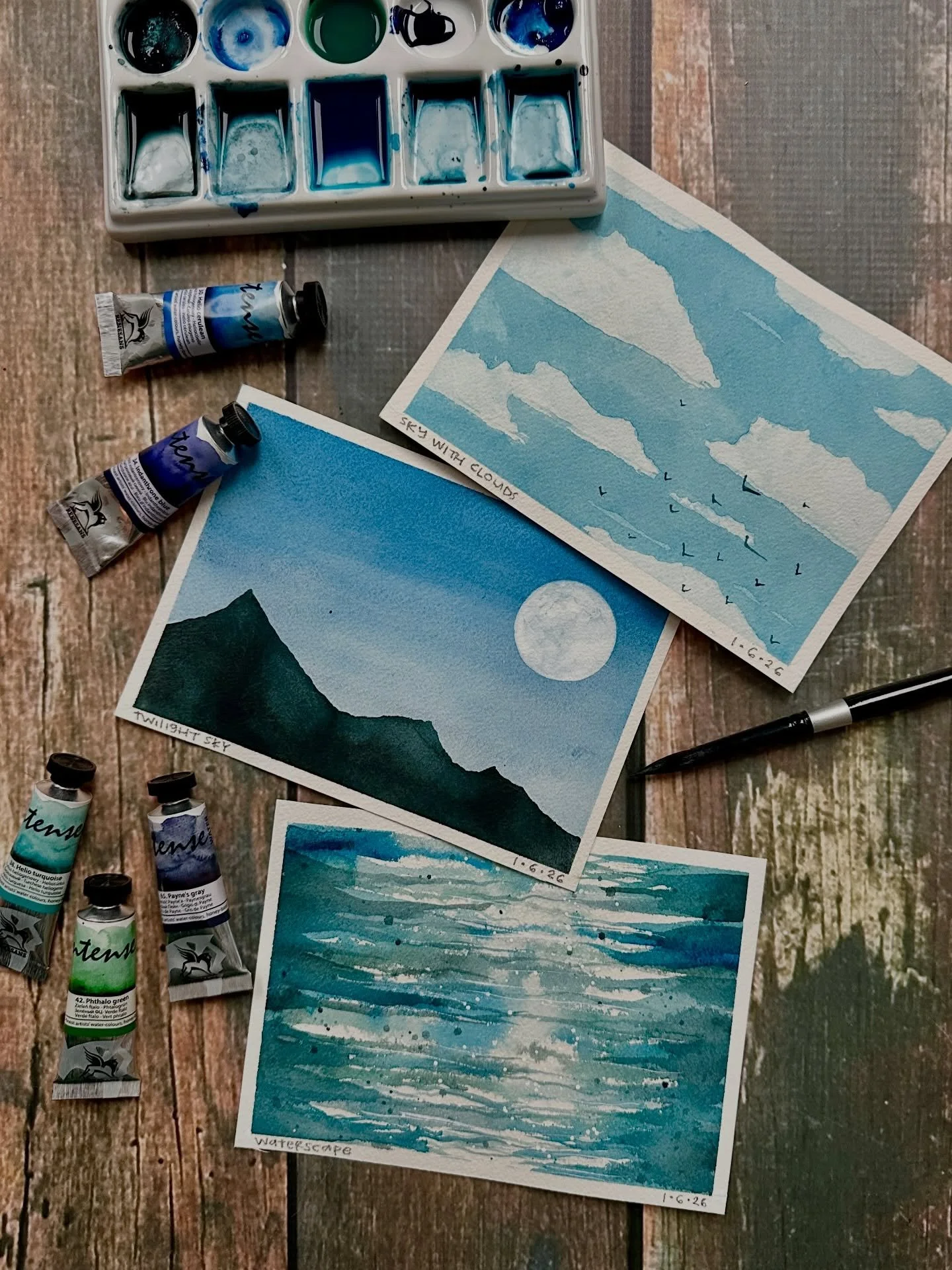 Even though the sky is gray and the sun doesn&rsquo;t shine for months on end where I live, the skies are sunny over in Wild Watercolor with @karenelainecreative on Willa Workshops! We had our first lesson yesterday where we recorded live on Zoom and